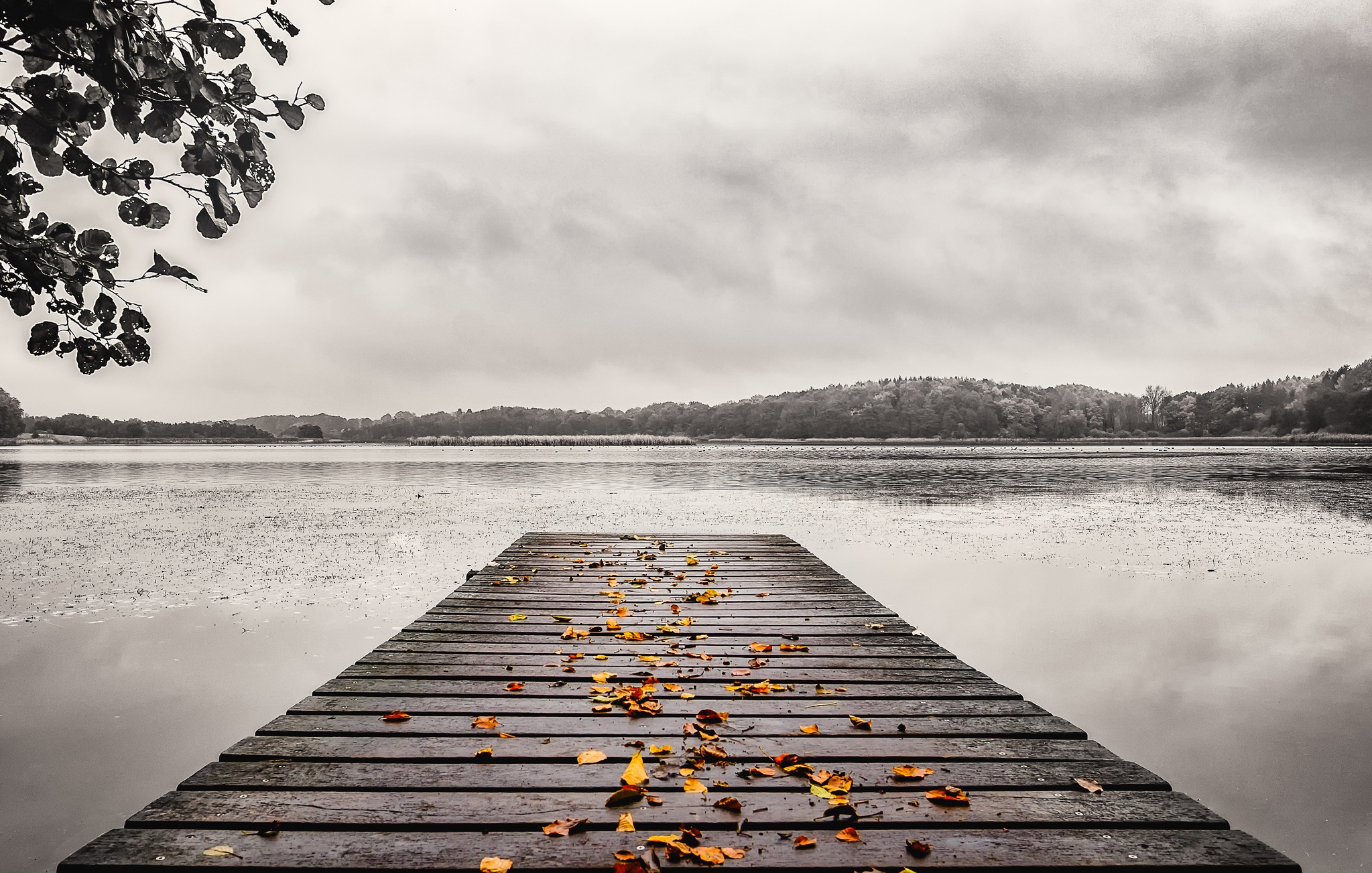 Download Grey Pier Nature Photography Lake HD Wallpaper