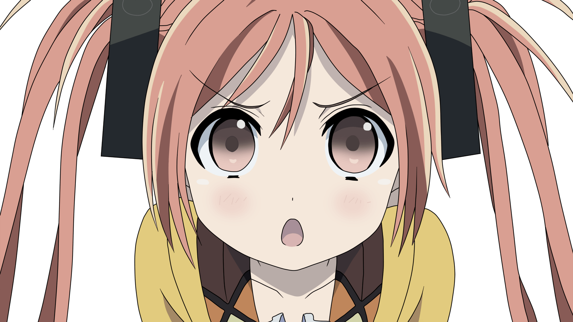 Enju Aihara from Black Bullet HD Anime Wallpaper