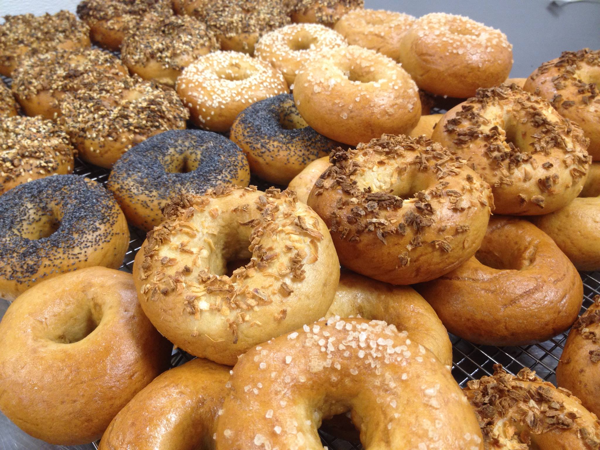 Delicious Bagels HD Wallpaper Background Image