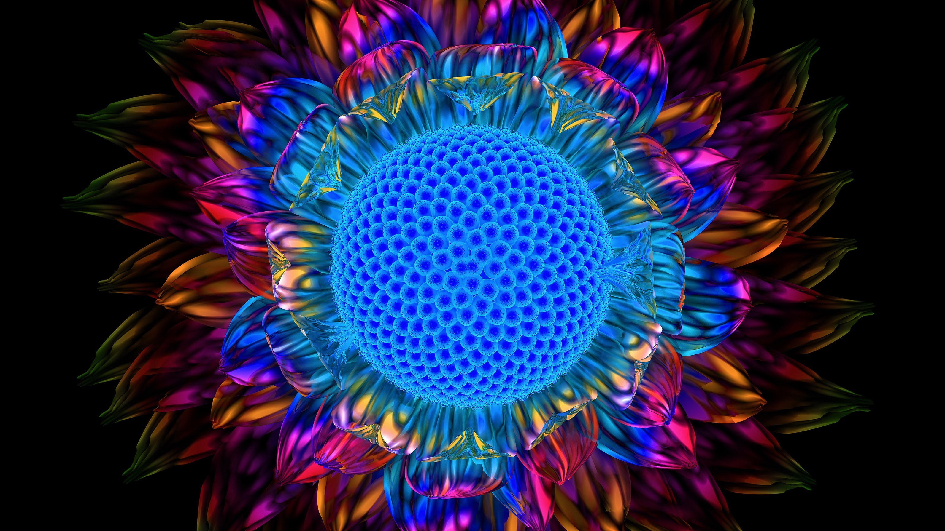 Download Colorful Colors Sunflower Artistic Flower HD Wallpaper