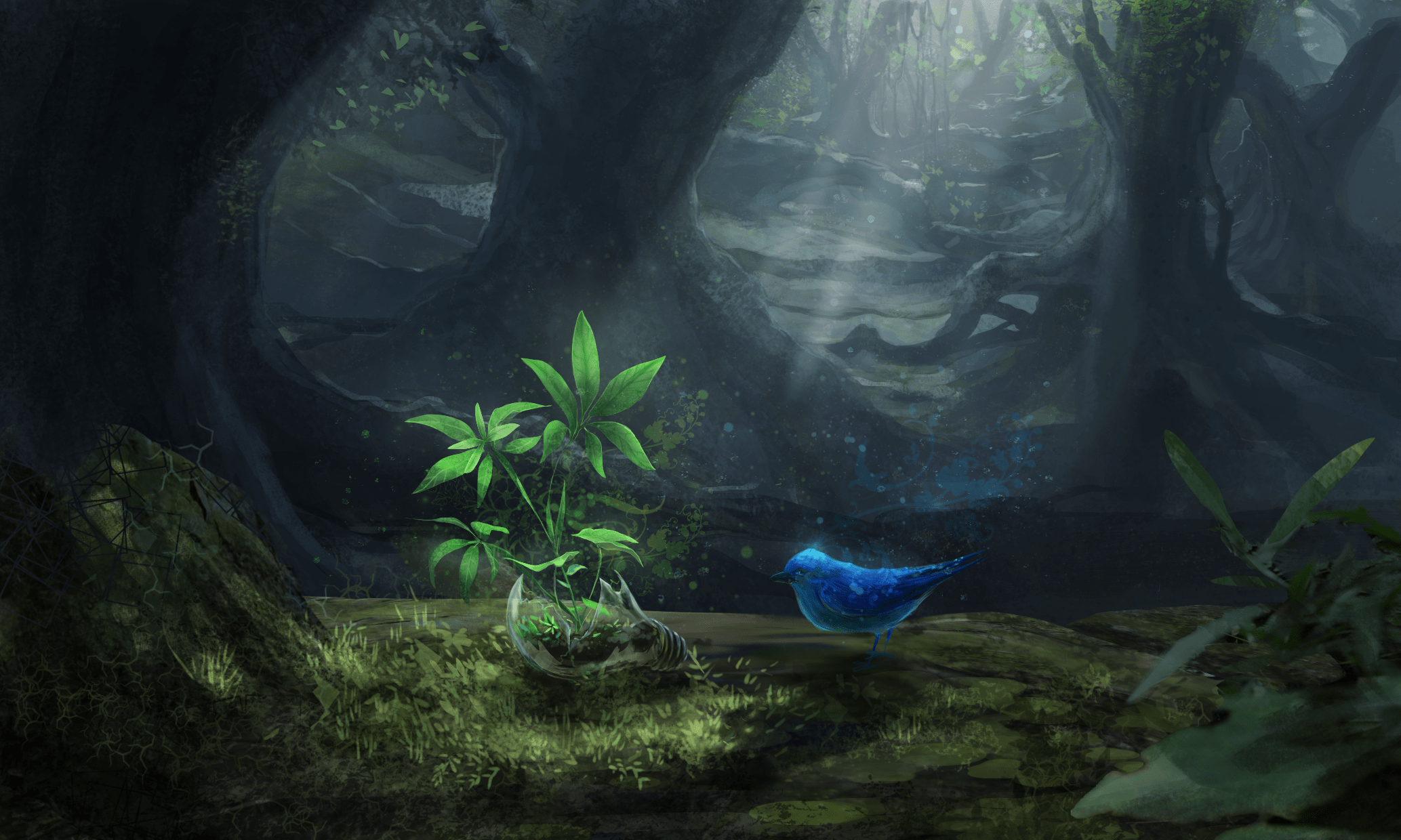 Enchanted Forest Light Anime HD Wallpaper by 空熊