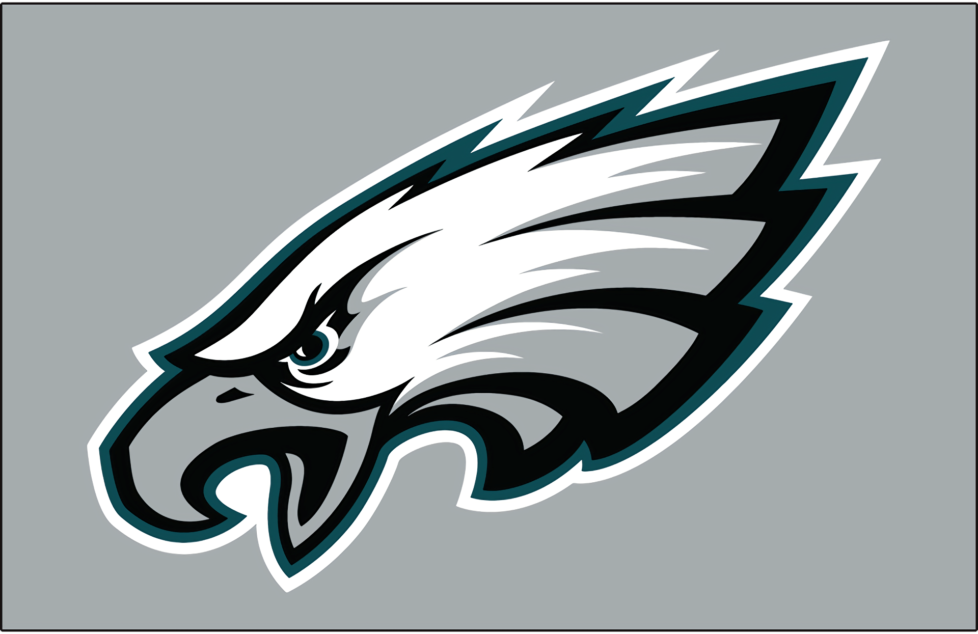 Philadelphia Eagles HD Wallpaper Background Image 1920x1245