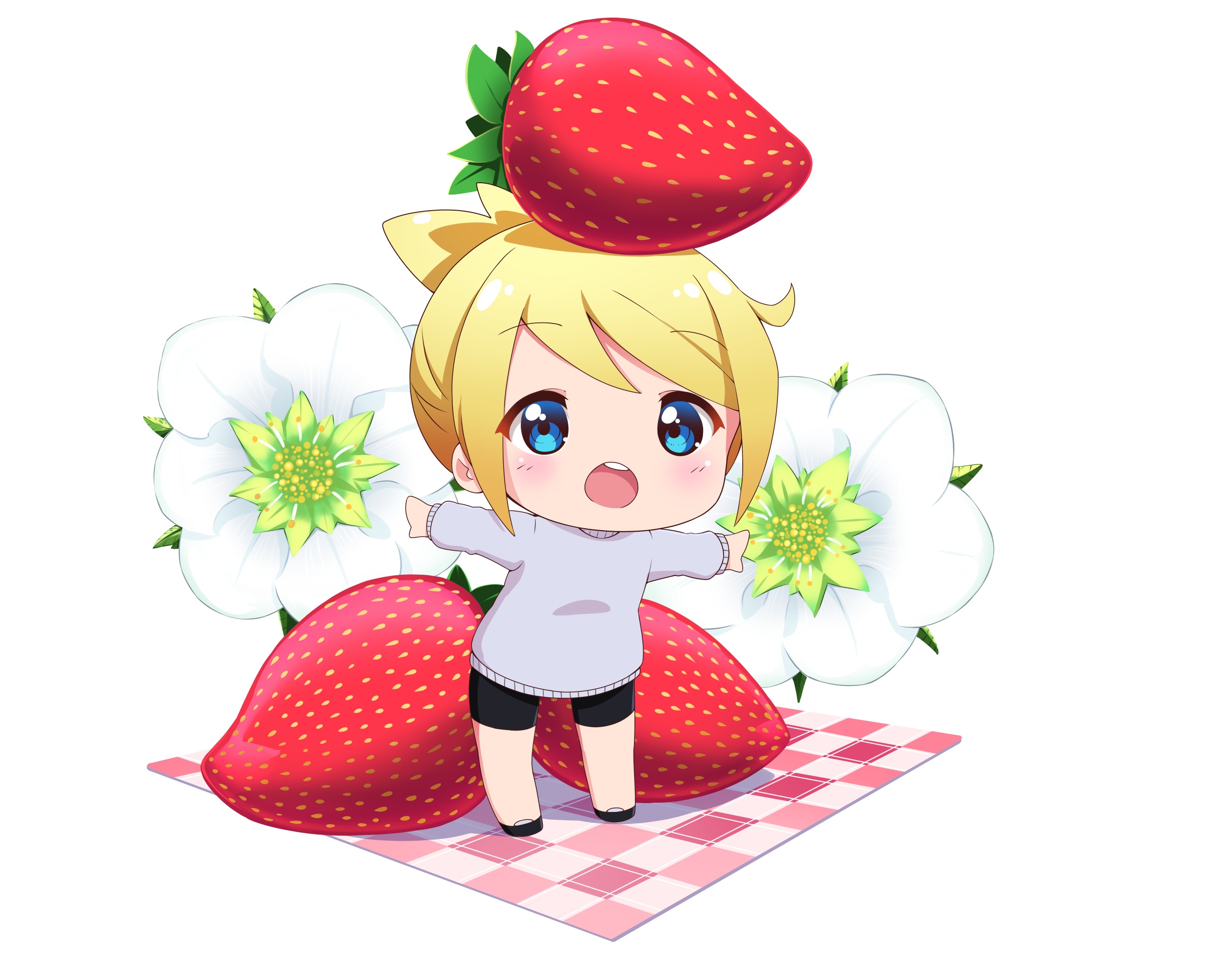 Strawberry HD Wallpaper Background Image 2480x2000