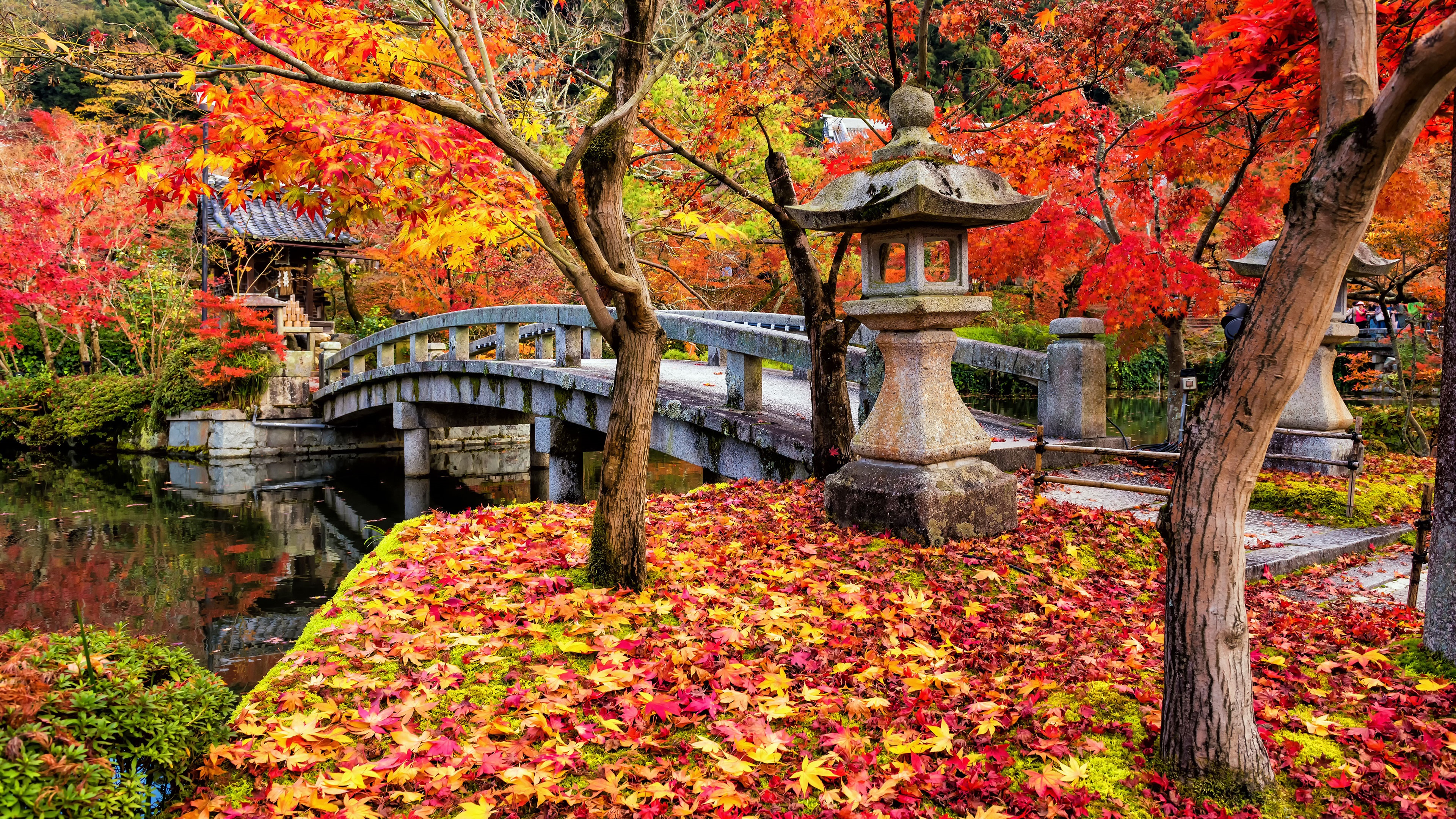 20+ Autumn Japan Wallpaper 4k Basty Wallpaper