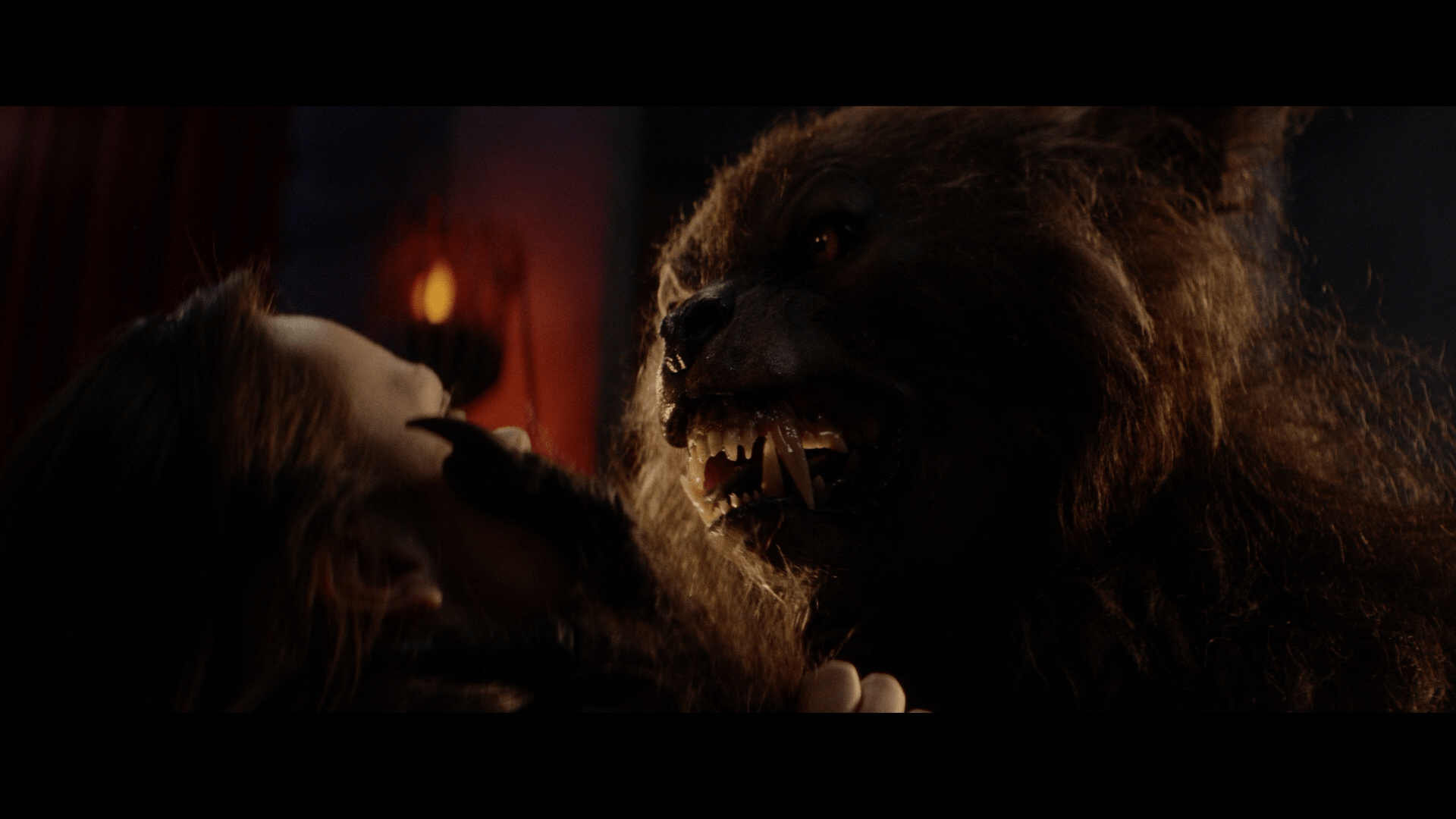 Cursed Collector's Edition Bluray Review Movieman's Guide to the Movies