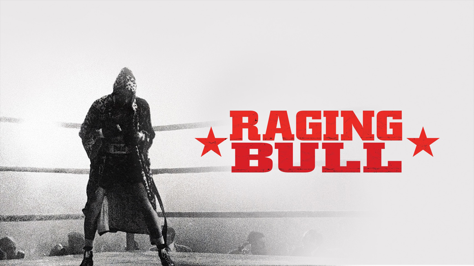 Movie Raging Bull HD Wallpaper Background Image