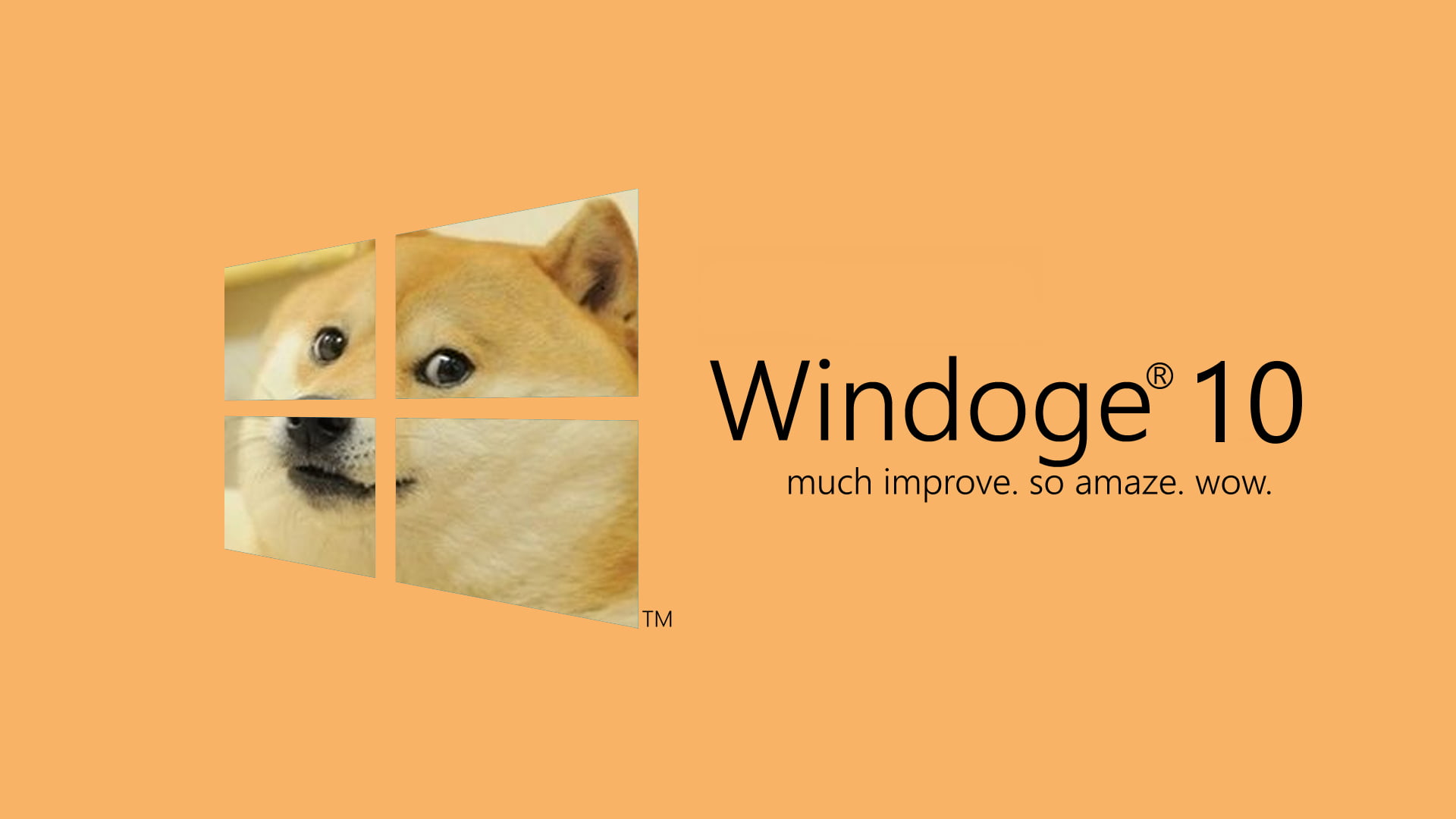 Doge Meme HD Wallpaper Windoge 10 Theme