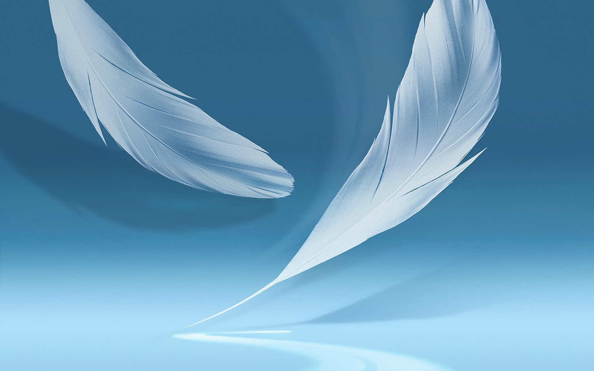 Feathers