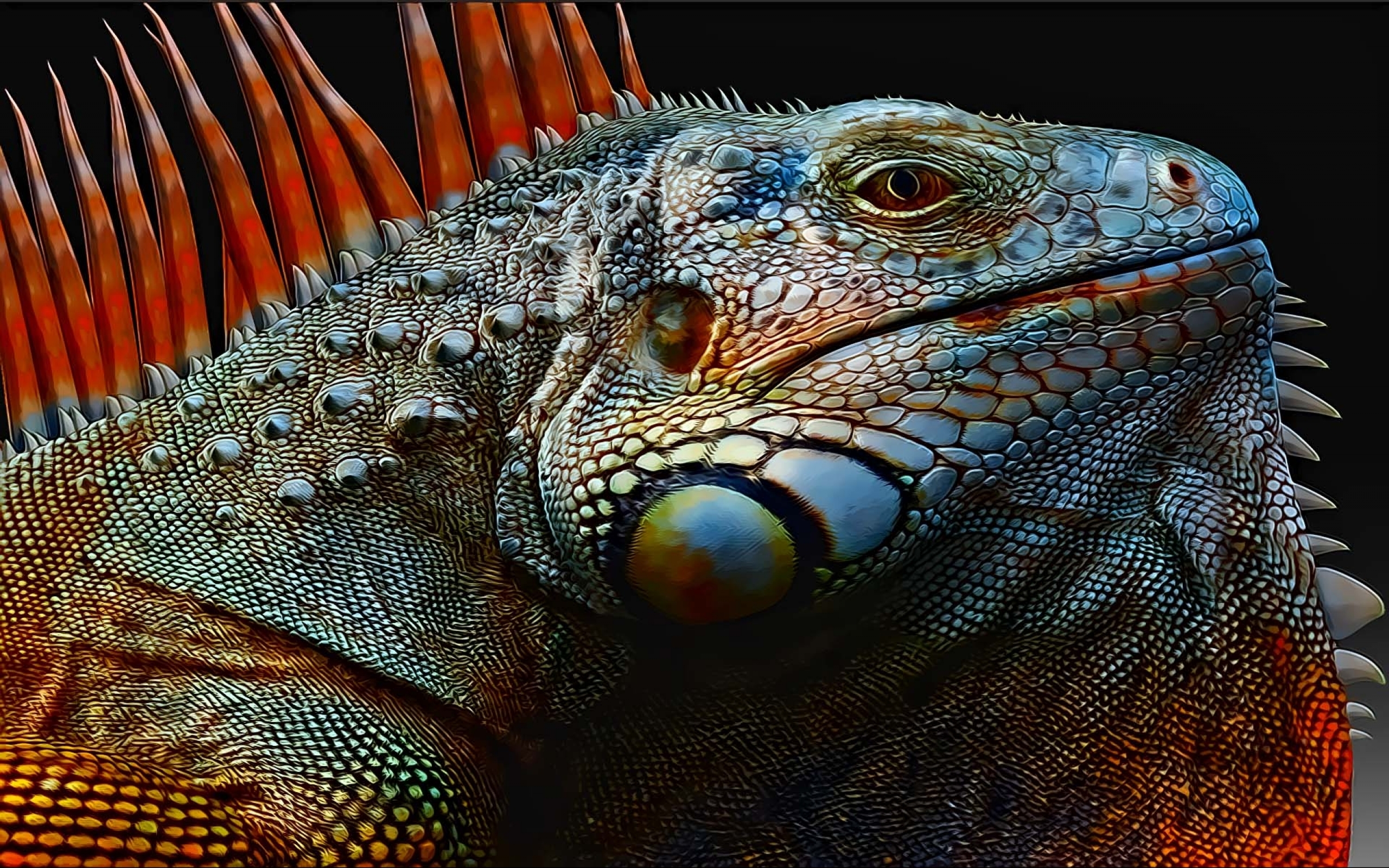 Lizard Computer Wallpaper, Desktop Background 2560x1600 ID332486