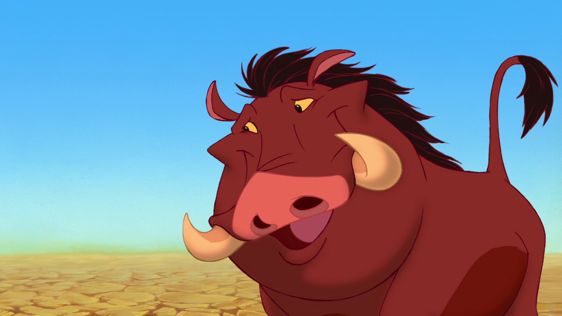Download Free Pumbaa HD Wallpaper