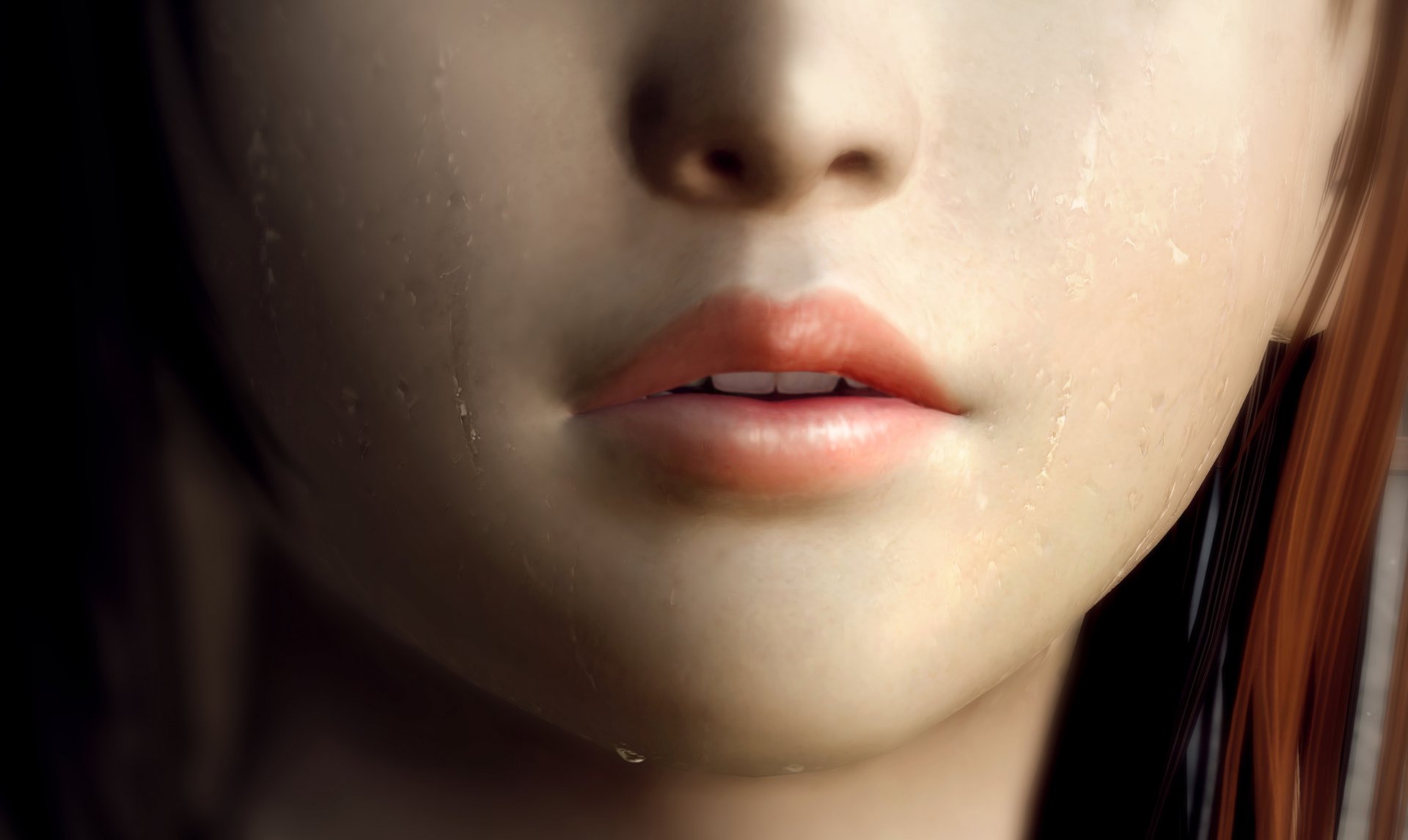 Dead Or Alive 5 HD Wallpaper