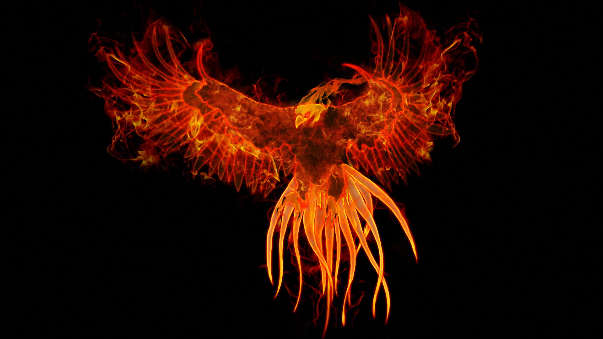 Phoenix Full HD Wallpaper and Background Image 1920x1080 ID357030