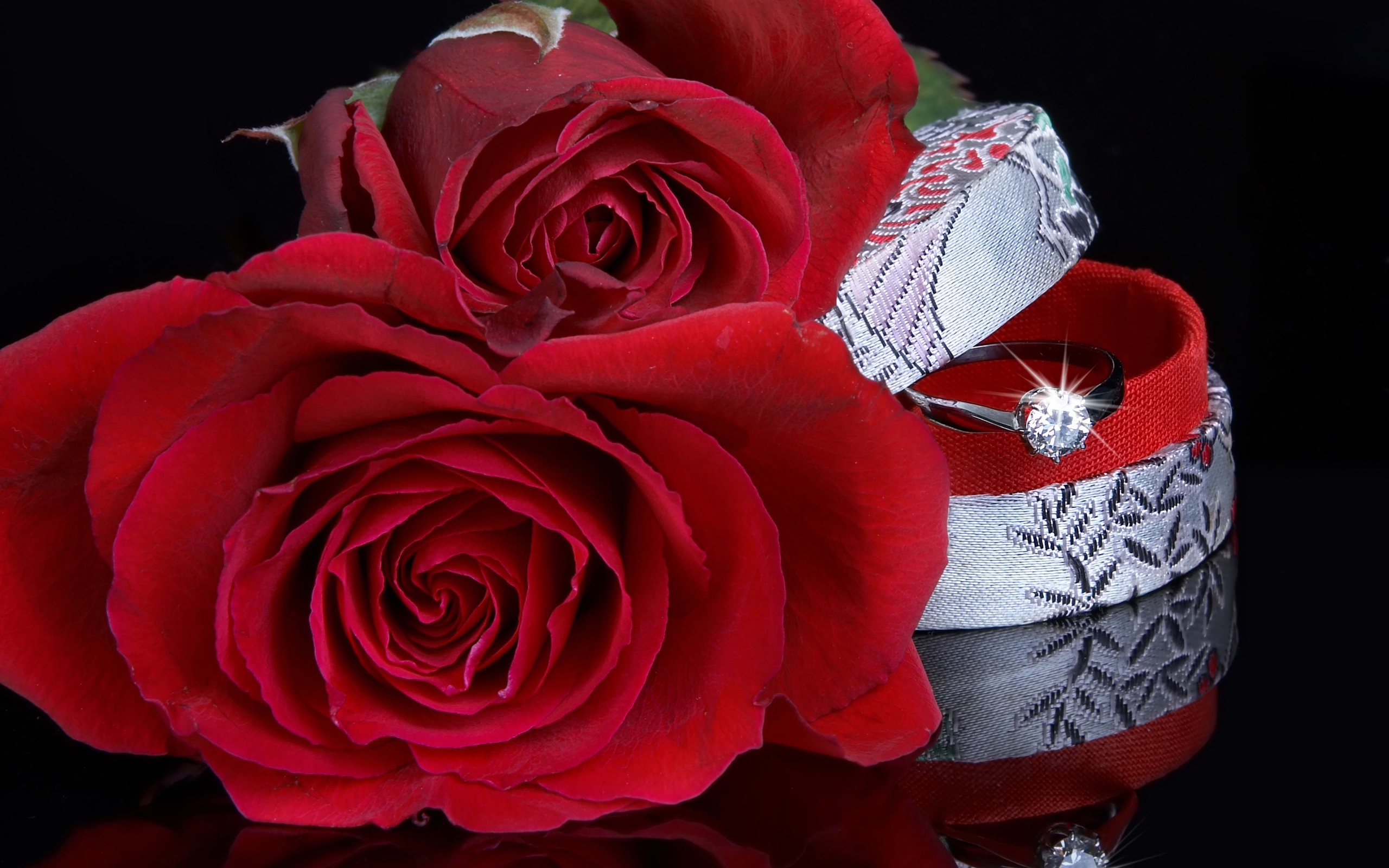Download Ring Flower Rose Holiday Wedding HD Wallpaper