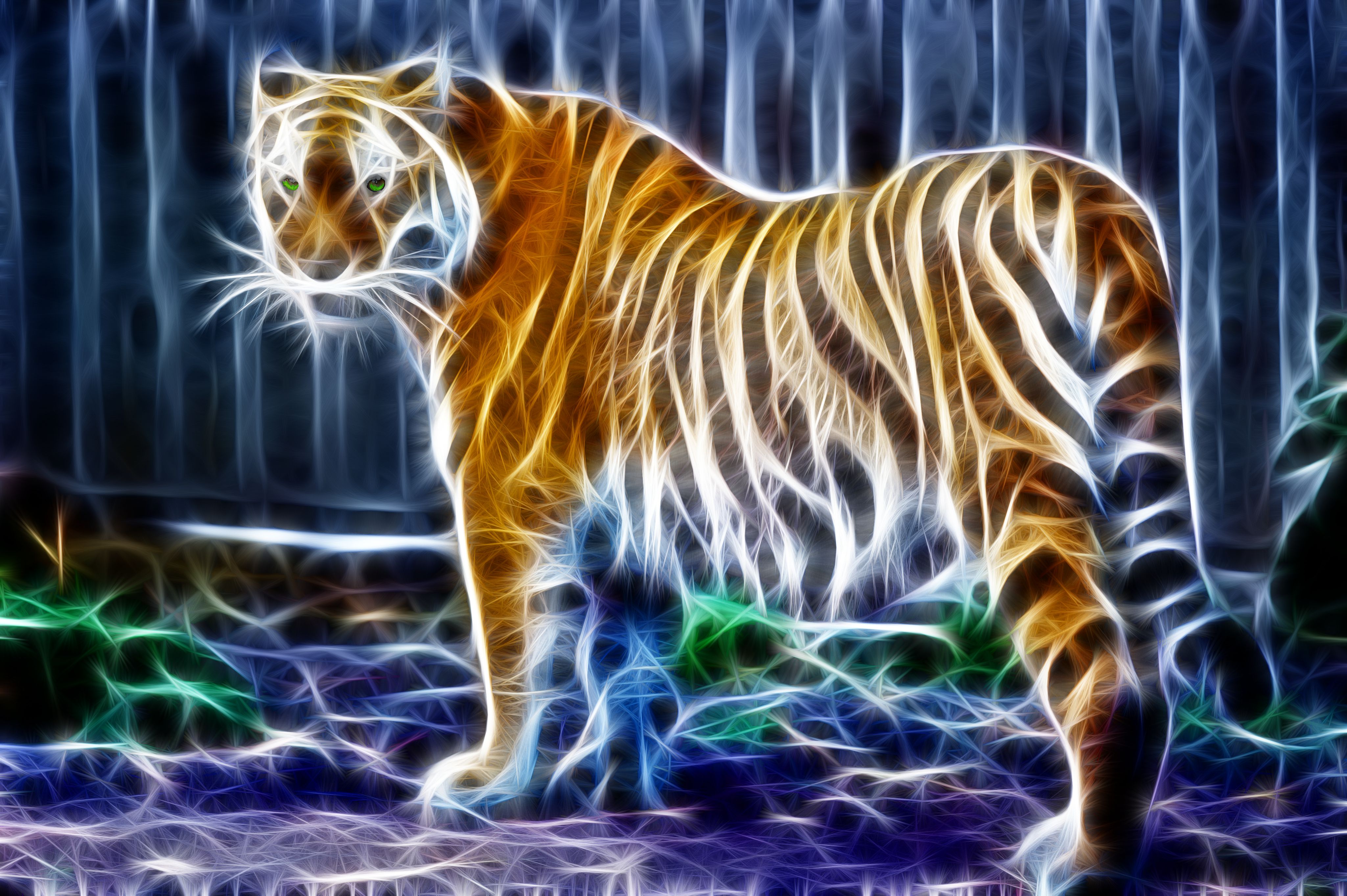 Download Animal Tiger 4k Ultra HD Wallpaper