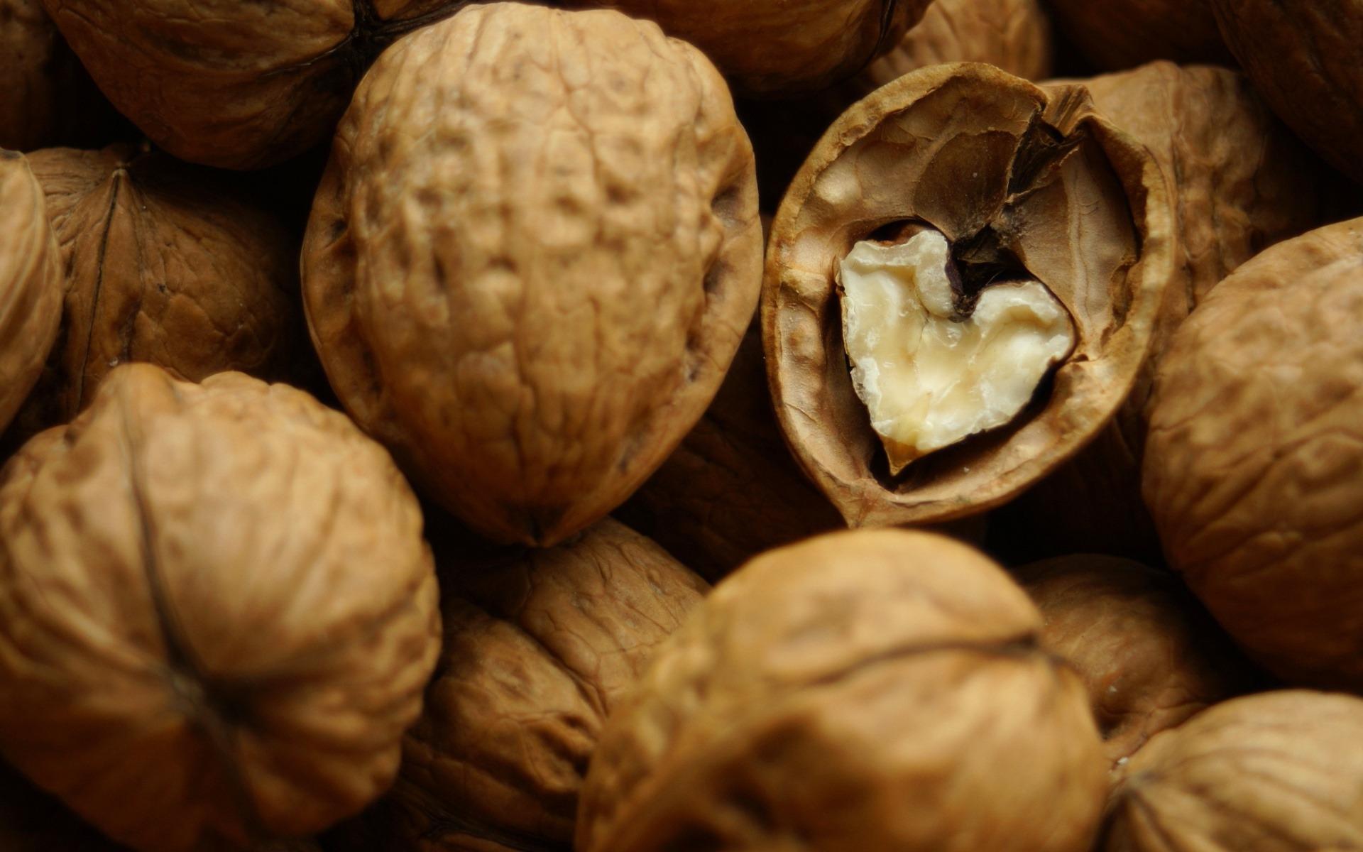 Download Food Walnut HD Wallpaper
