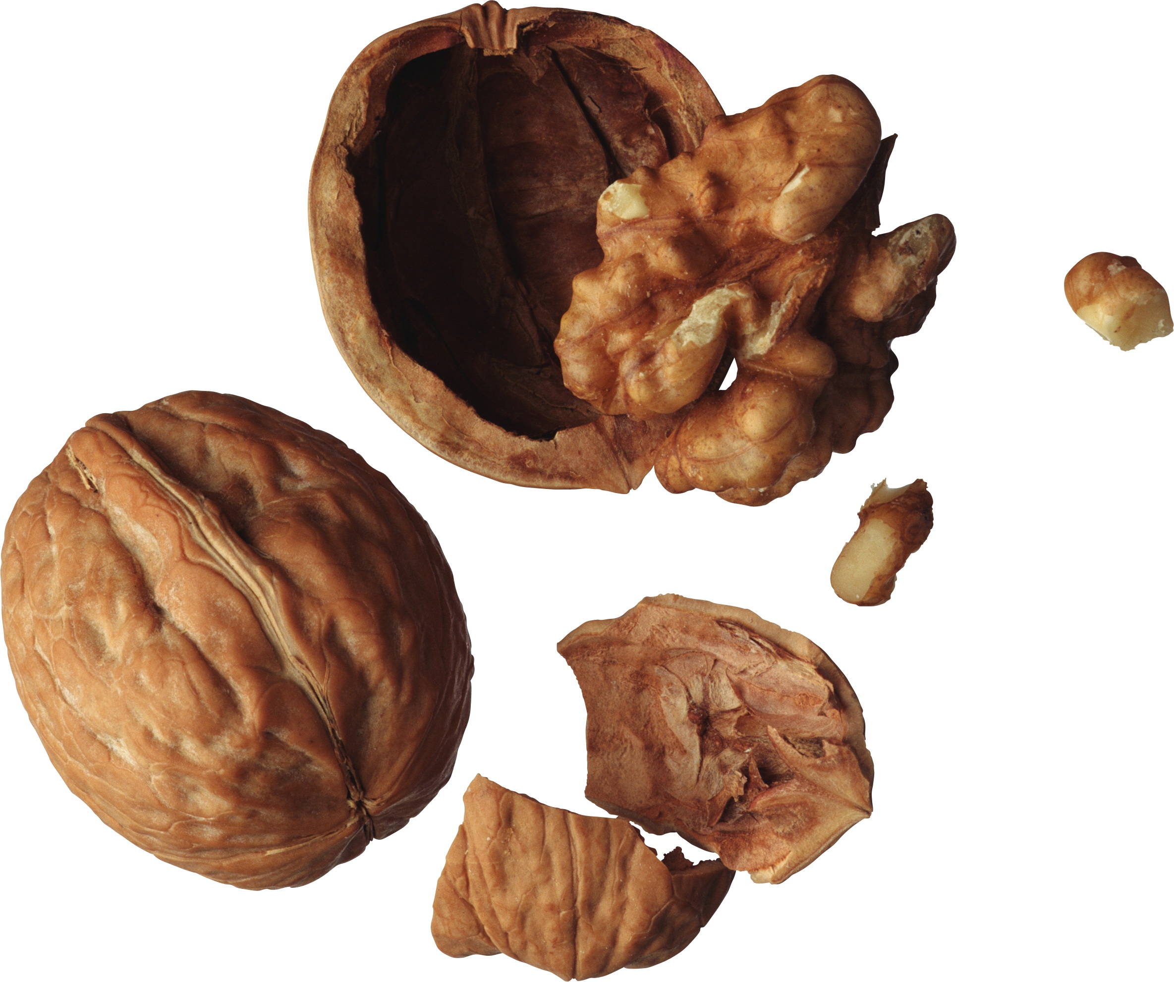 Food Walnut HD Wallpaper