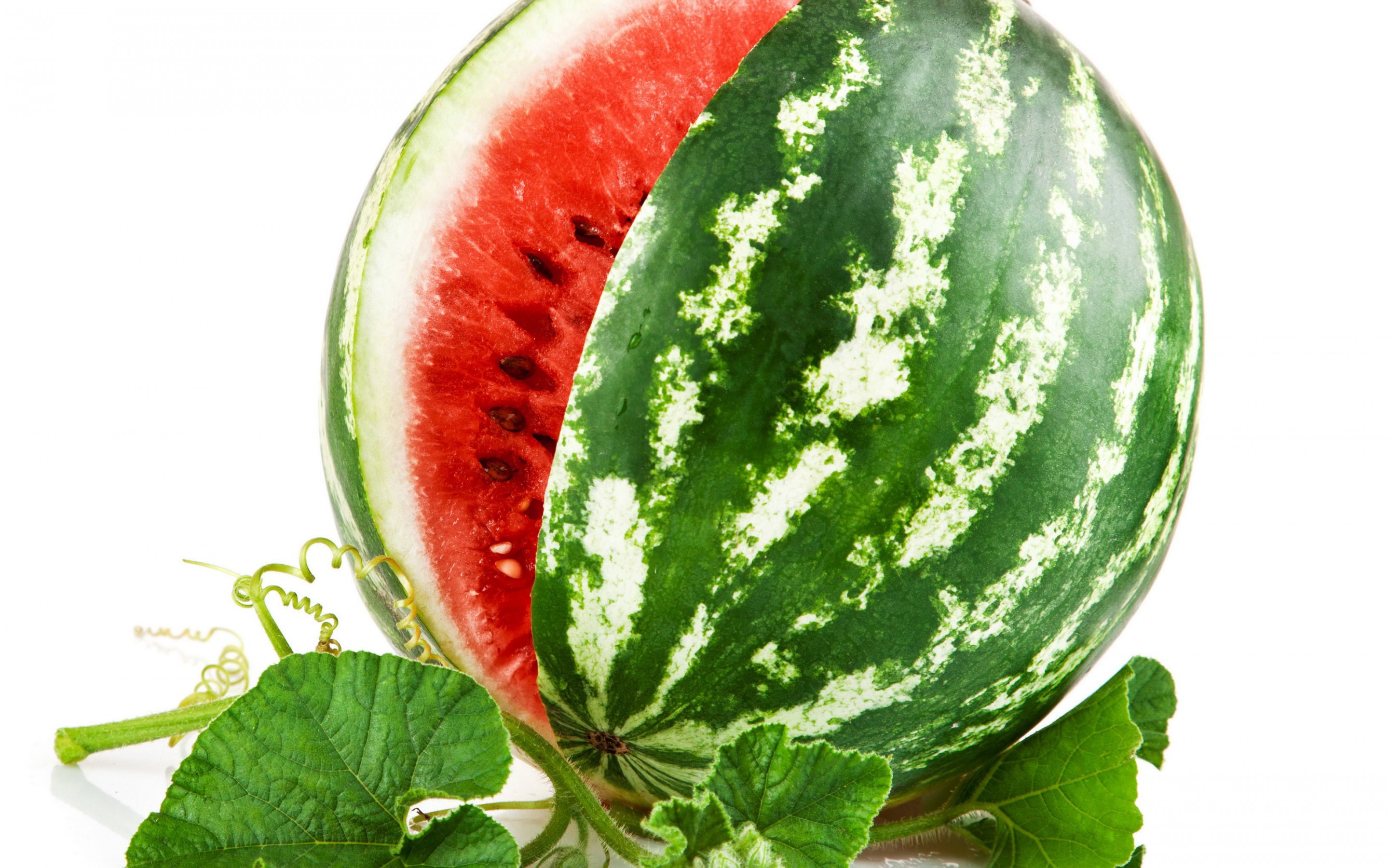 Watermelon Full HD Wallpaper and Background Image 2880x1800 ID412087