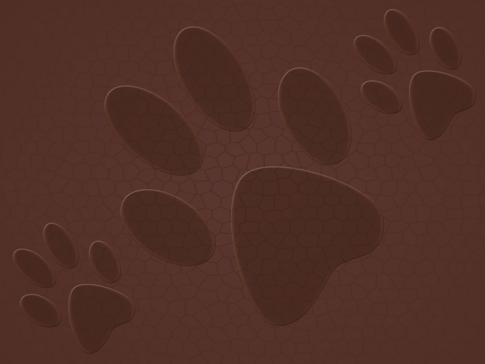 paw prints Wallpaper and Background Image 1600x1200 ID423286