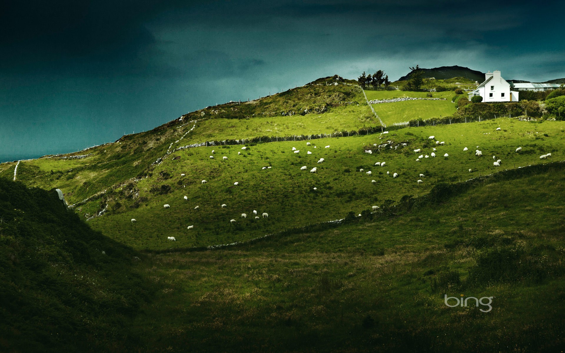 Download House Landscape Ireland Animal Sheep HD Wallpaper