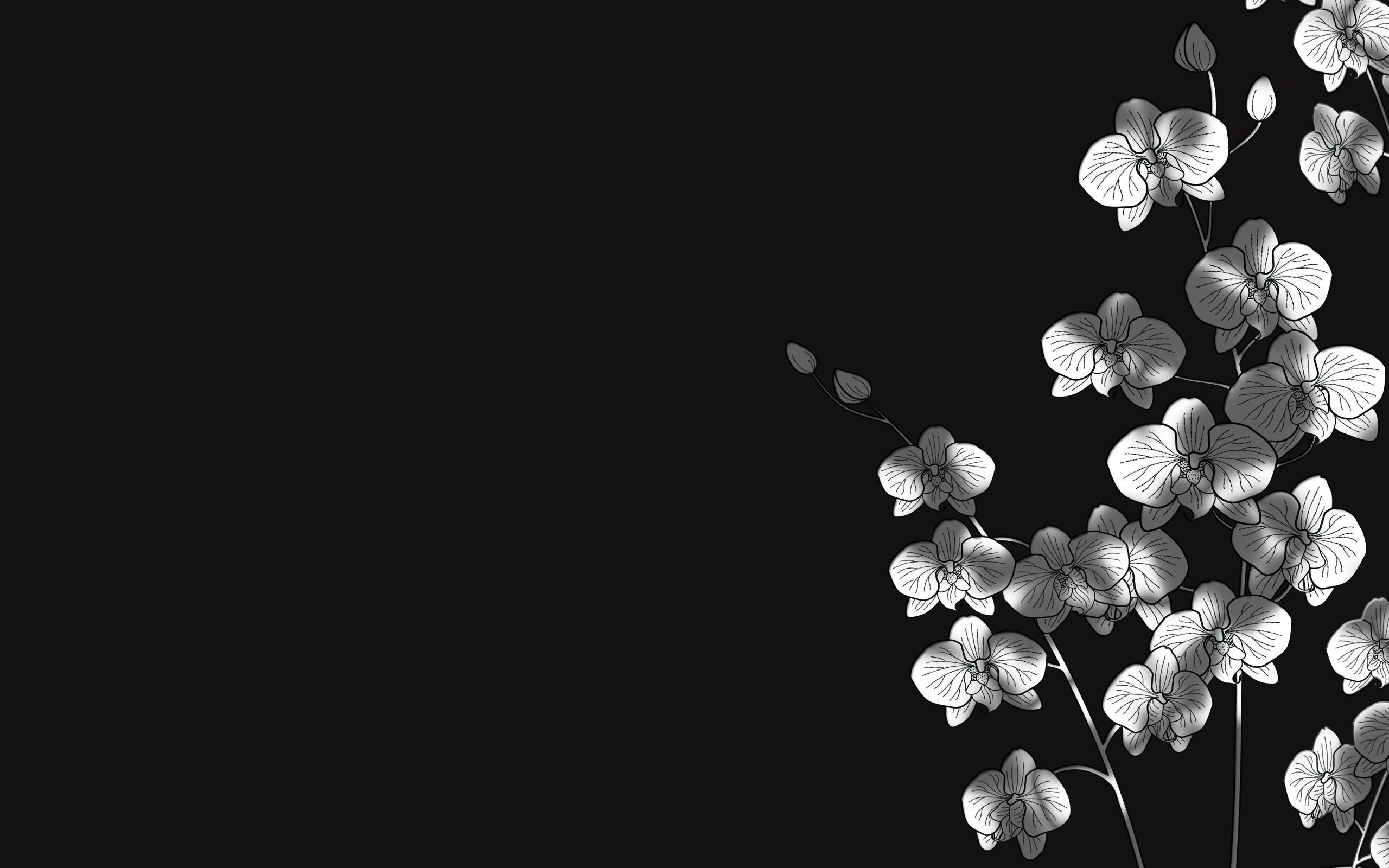 Download Artistic Flower HD Wallpaper