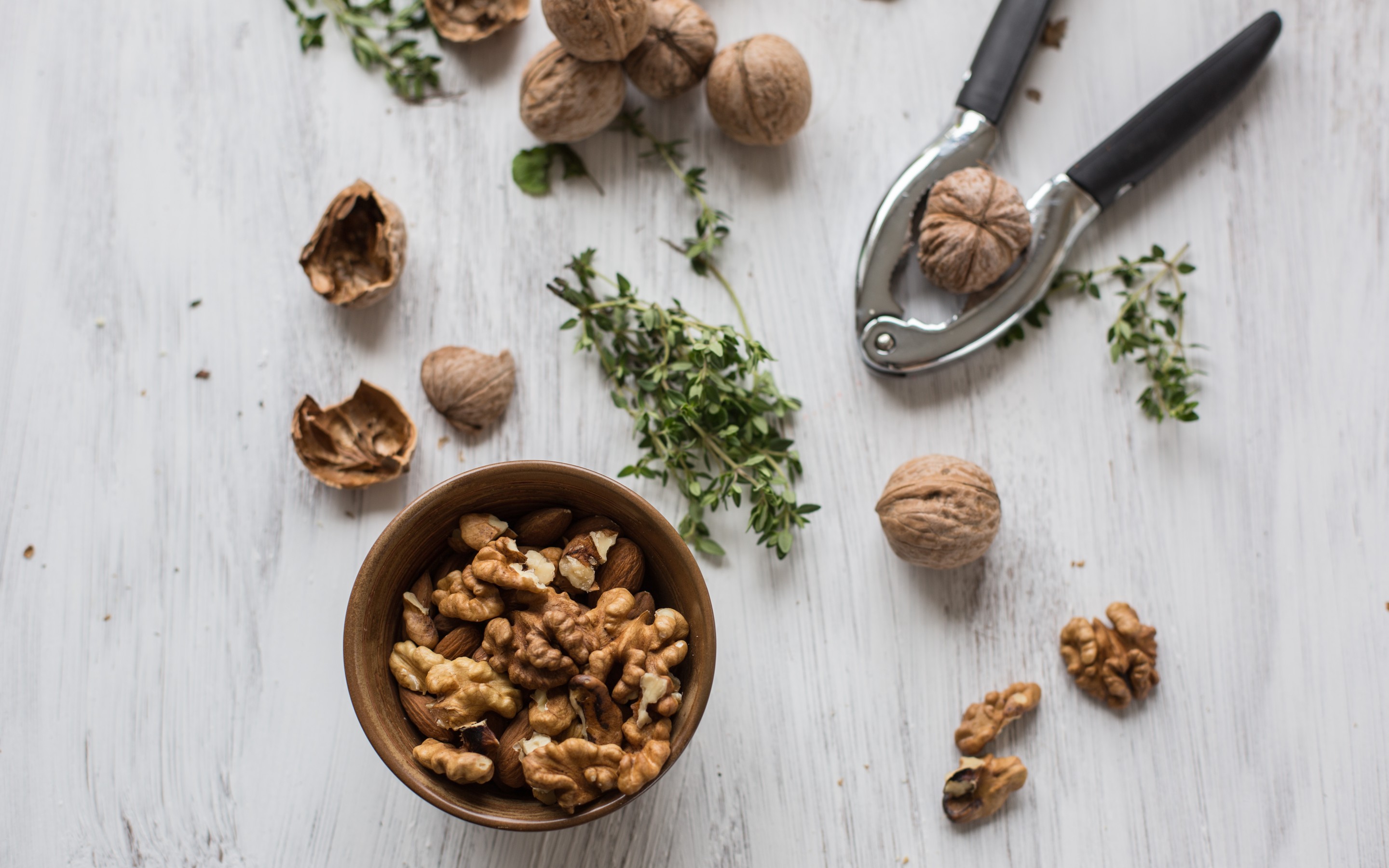 Download Food Walnut HD Wallpaper