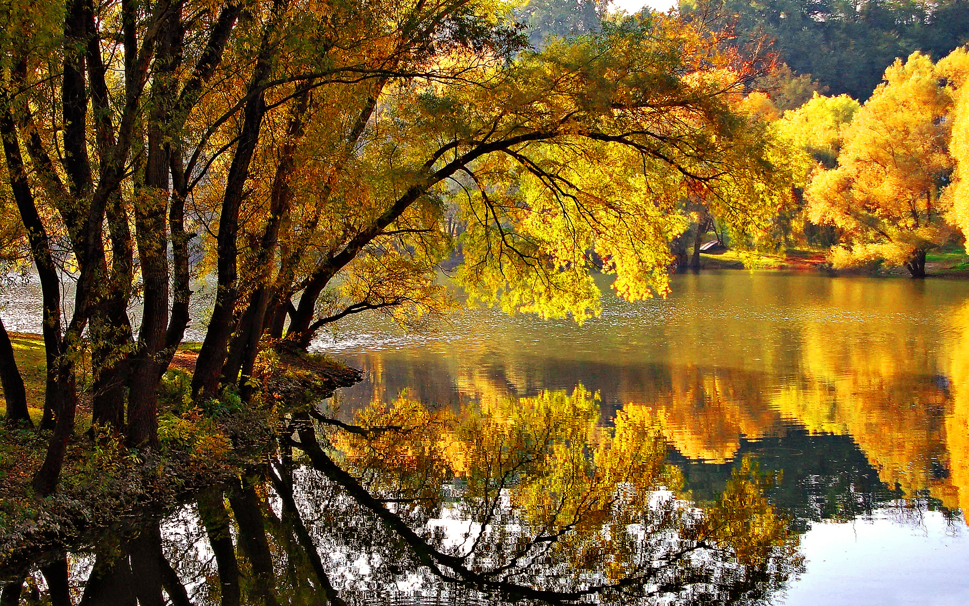 Aarde/Natuur Fall Wallpaper