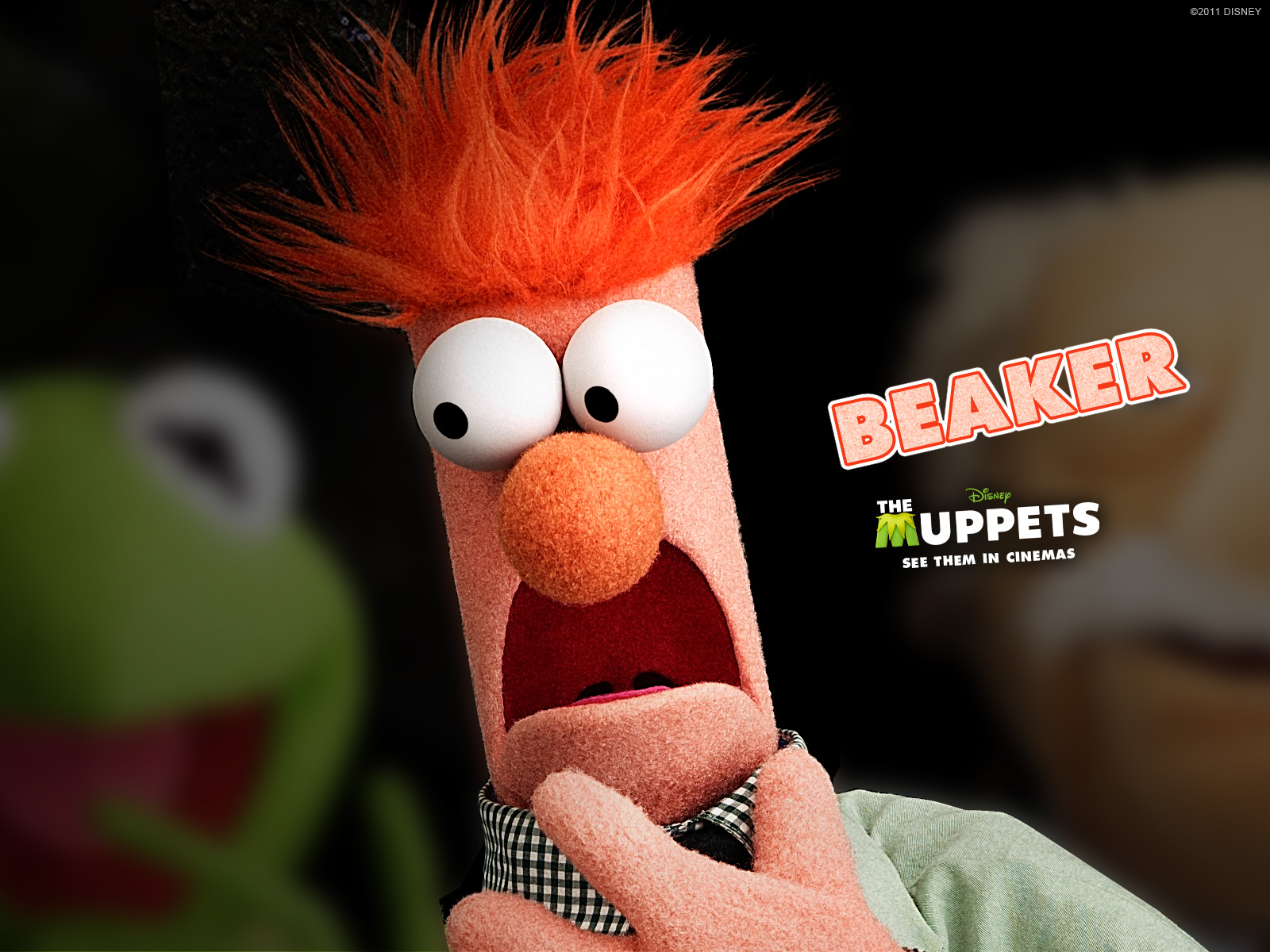 Beaker Muppets Meme
