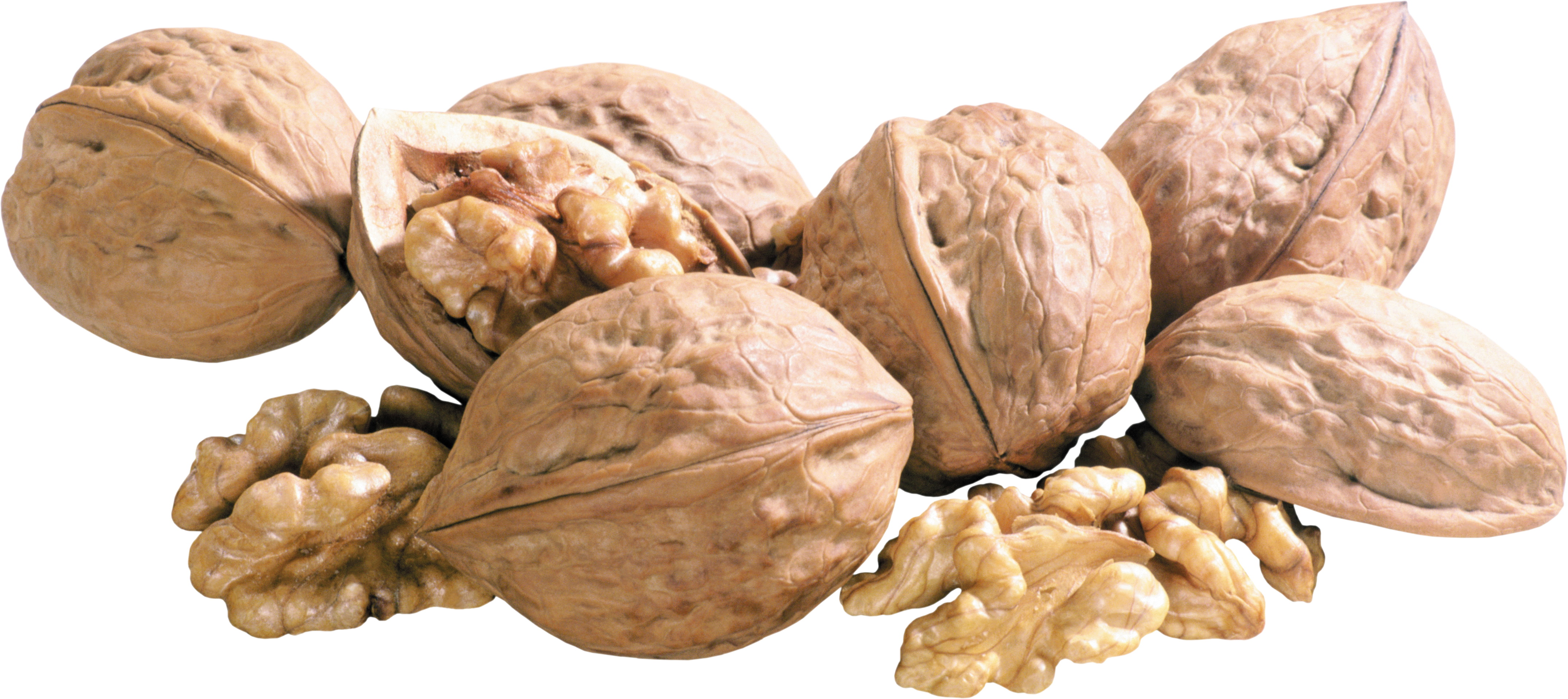 Food Walnut HD Wallpaper