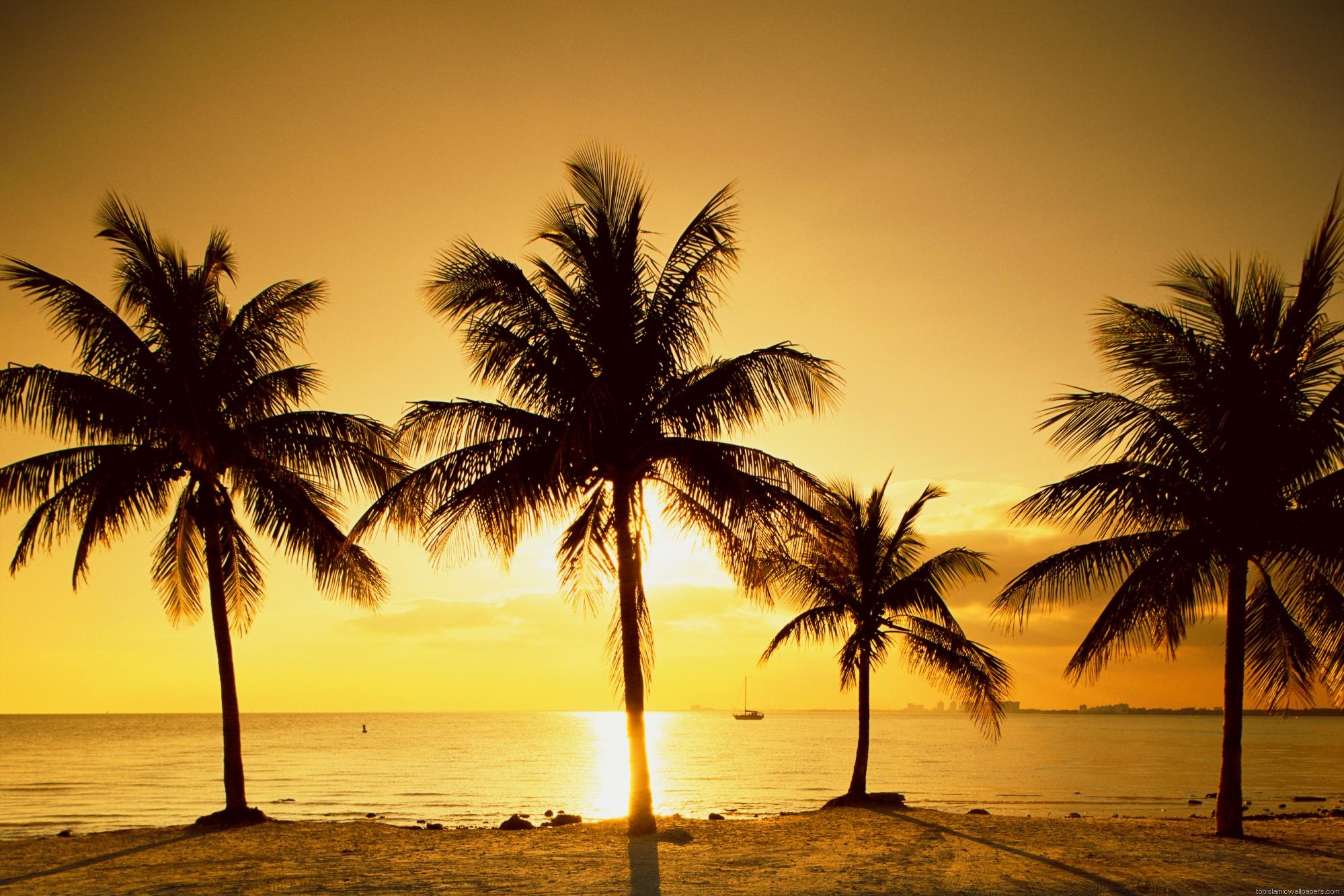 Tranquil Sunset Beach HD Wallpaper