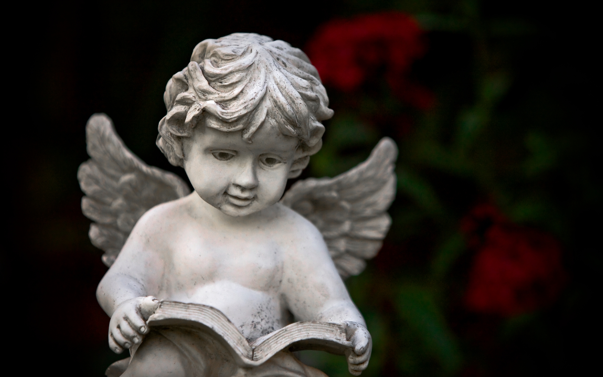 Download Angel Statue Statue Cherub Man Made Cherub Statue HD Wallpaper