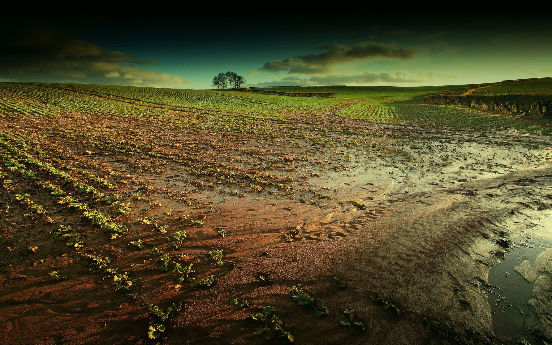 Download Nature Muddy Field HD Wallpaper