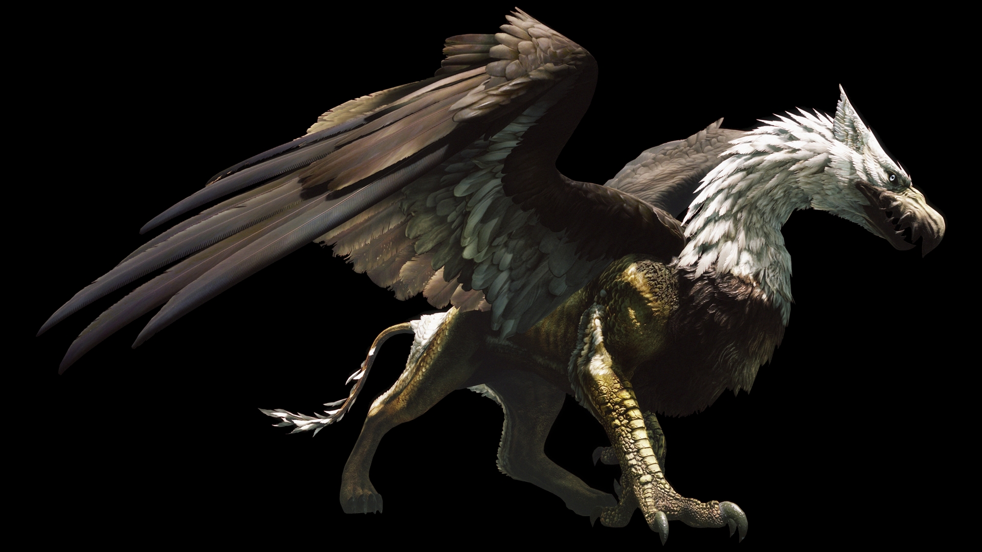 Dragon's Dogma Dark Arisen HD Wallpaper Background Image 1920x1080