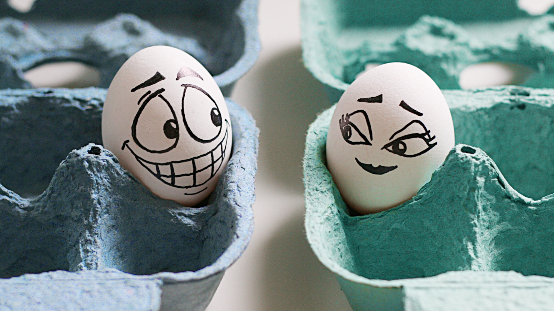 Download Couple Funny Egg HD Wallpaper