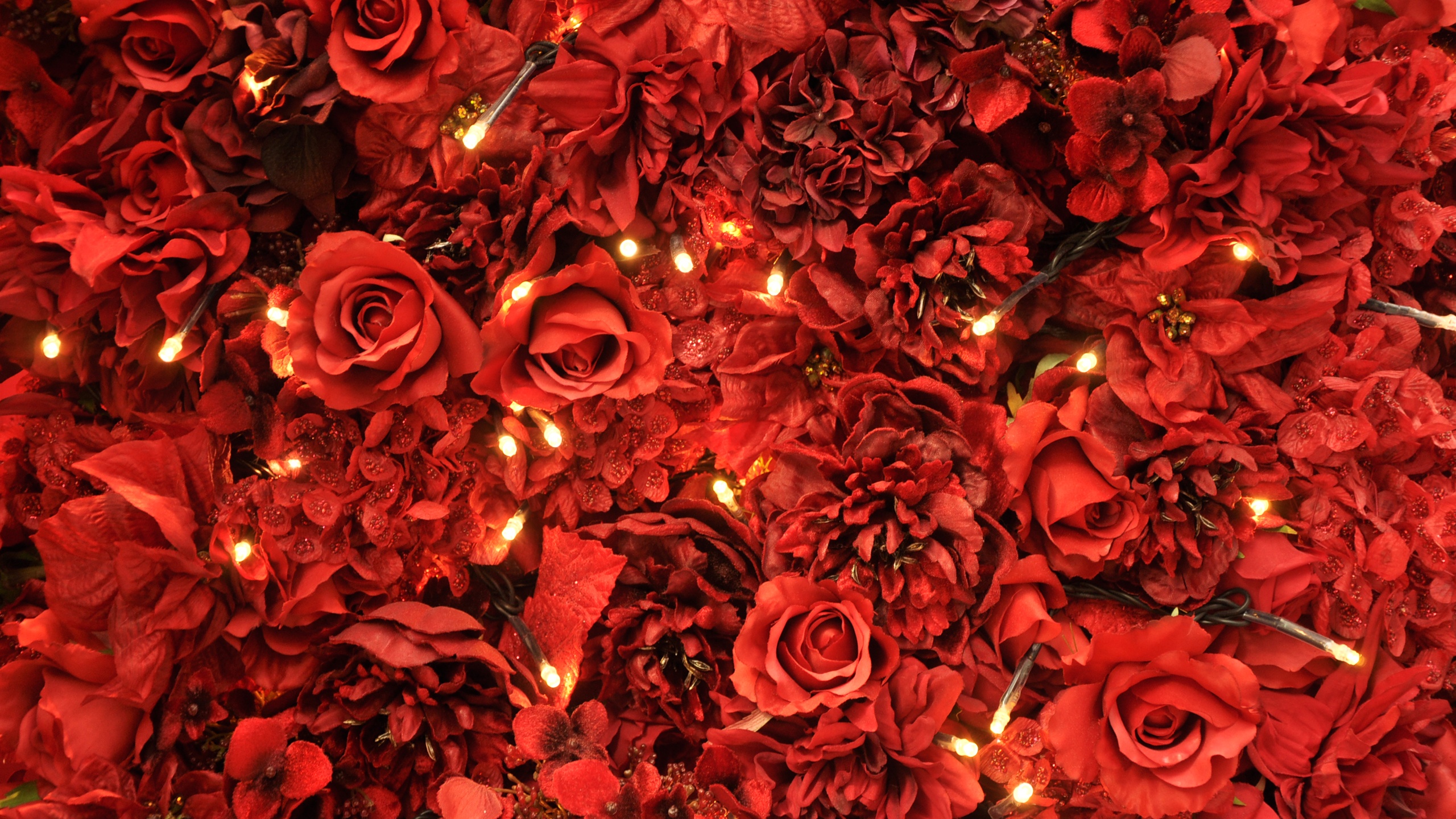 Tumblr Backgrounds Red Roses