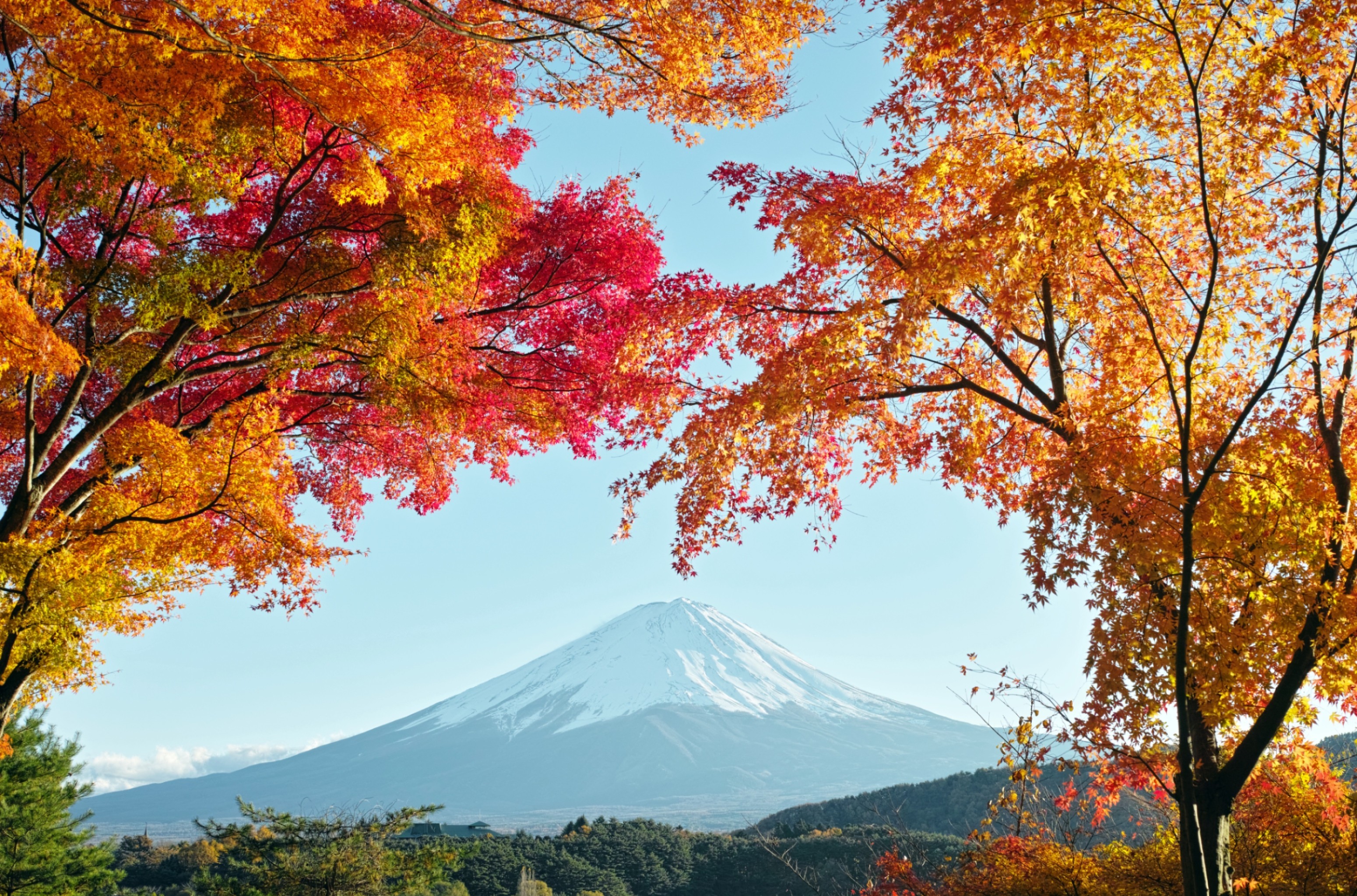 Autumn in Japan HD Wallpaper Background Image 3100x2047