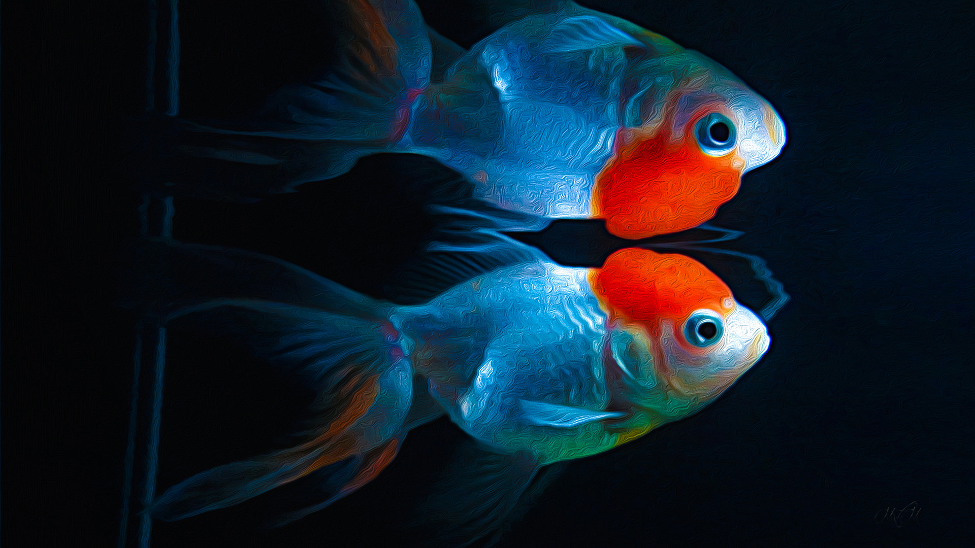 Kinguio Stunning Goldfish HD Wallpaper