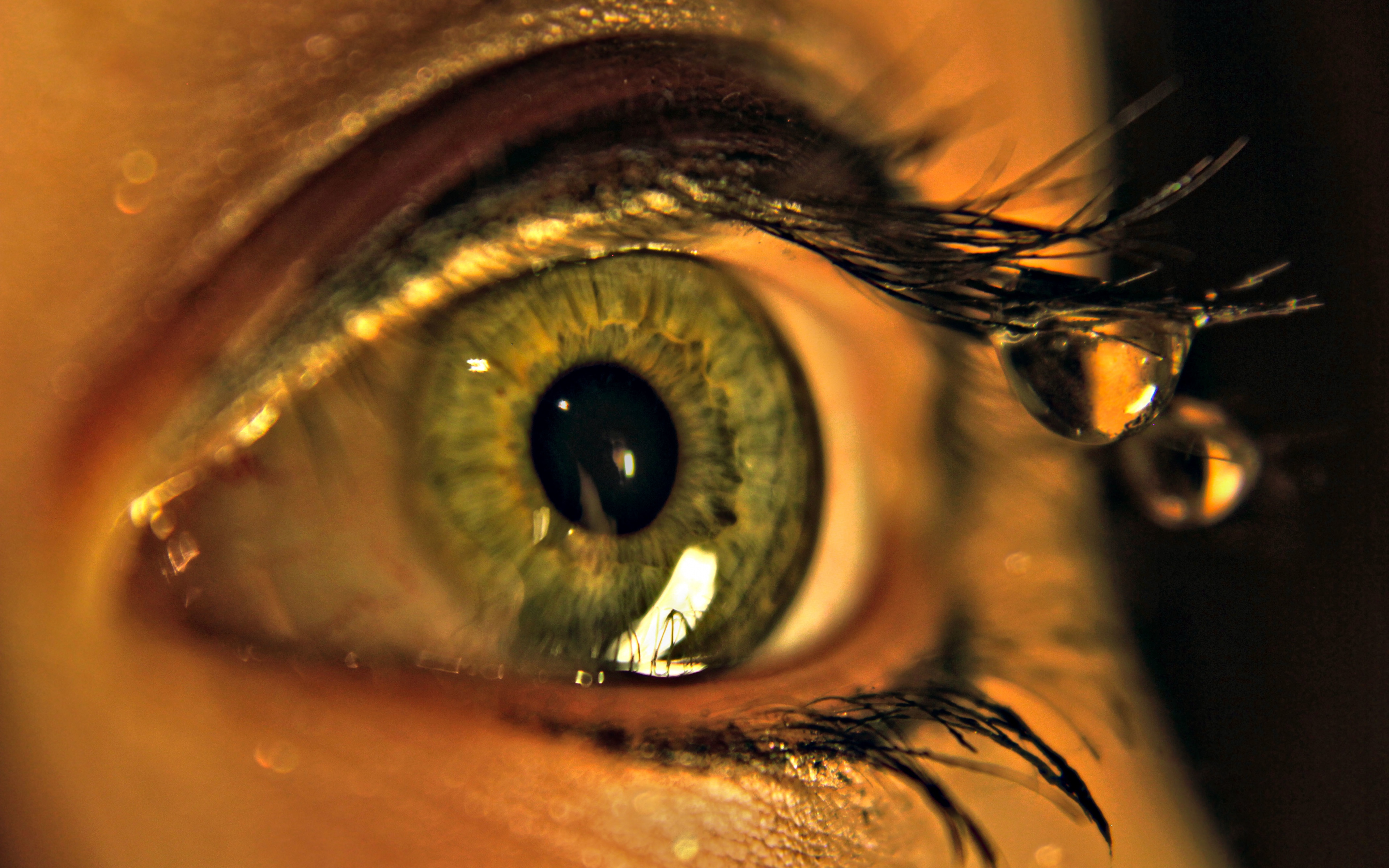 Eye 4k Ultra HD Wallpaper and Background Image 3840x2400 ID666403