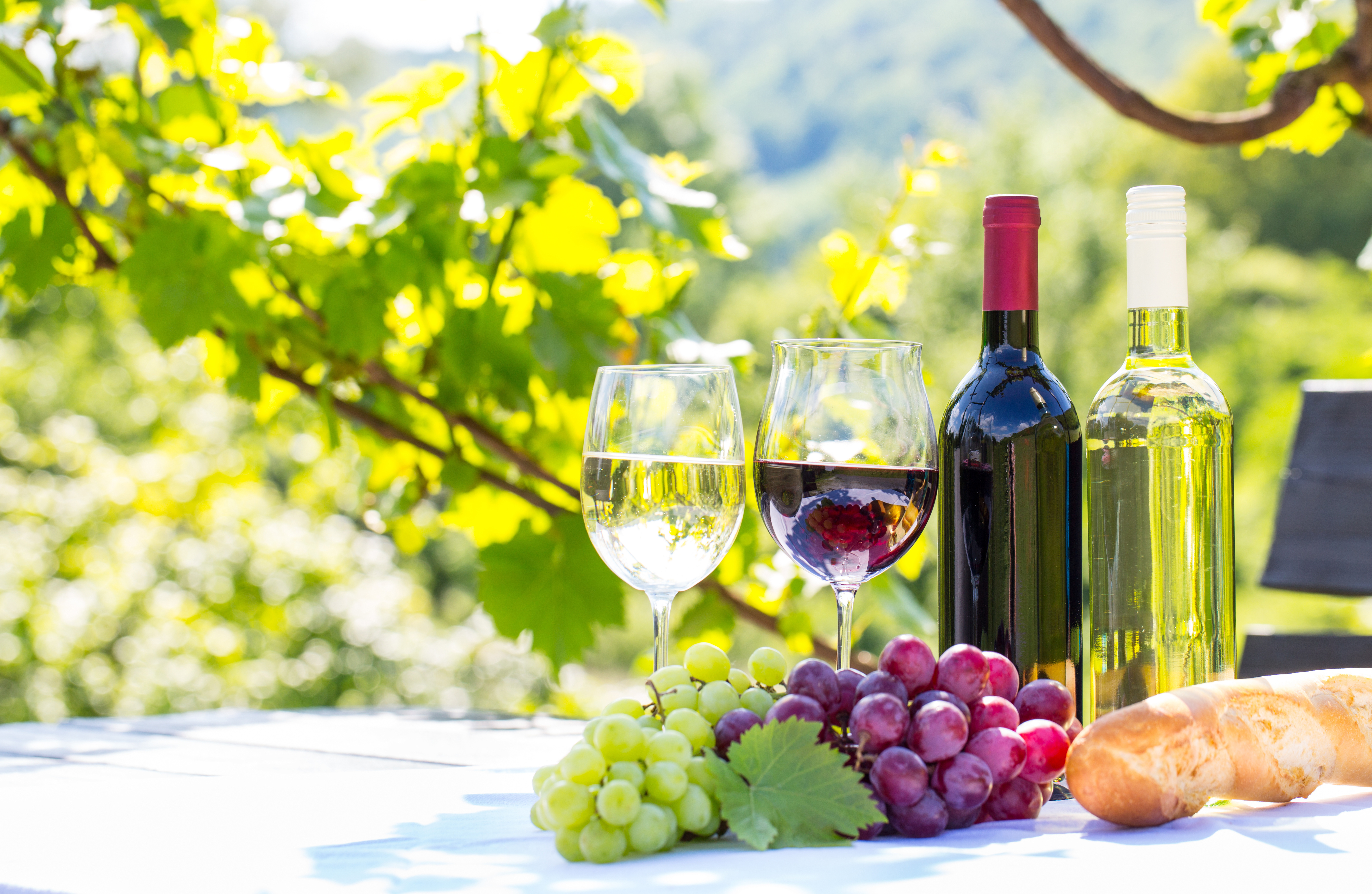 Red and White Wine (Magnificent Blend) 4k Ultra HD