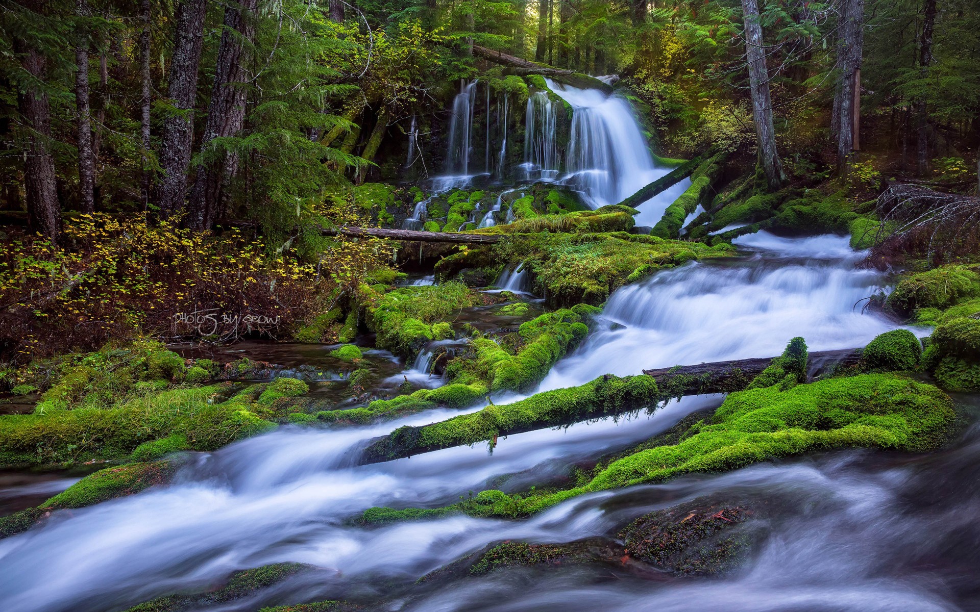 Forest Waterfall HD Wallpaper Background Image