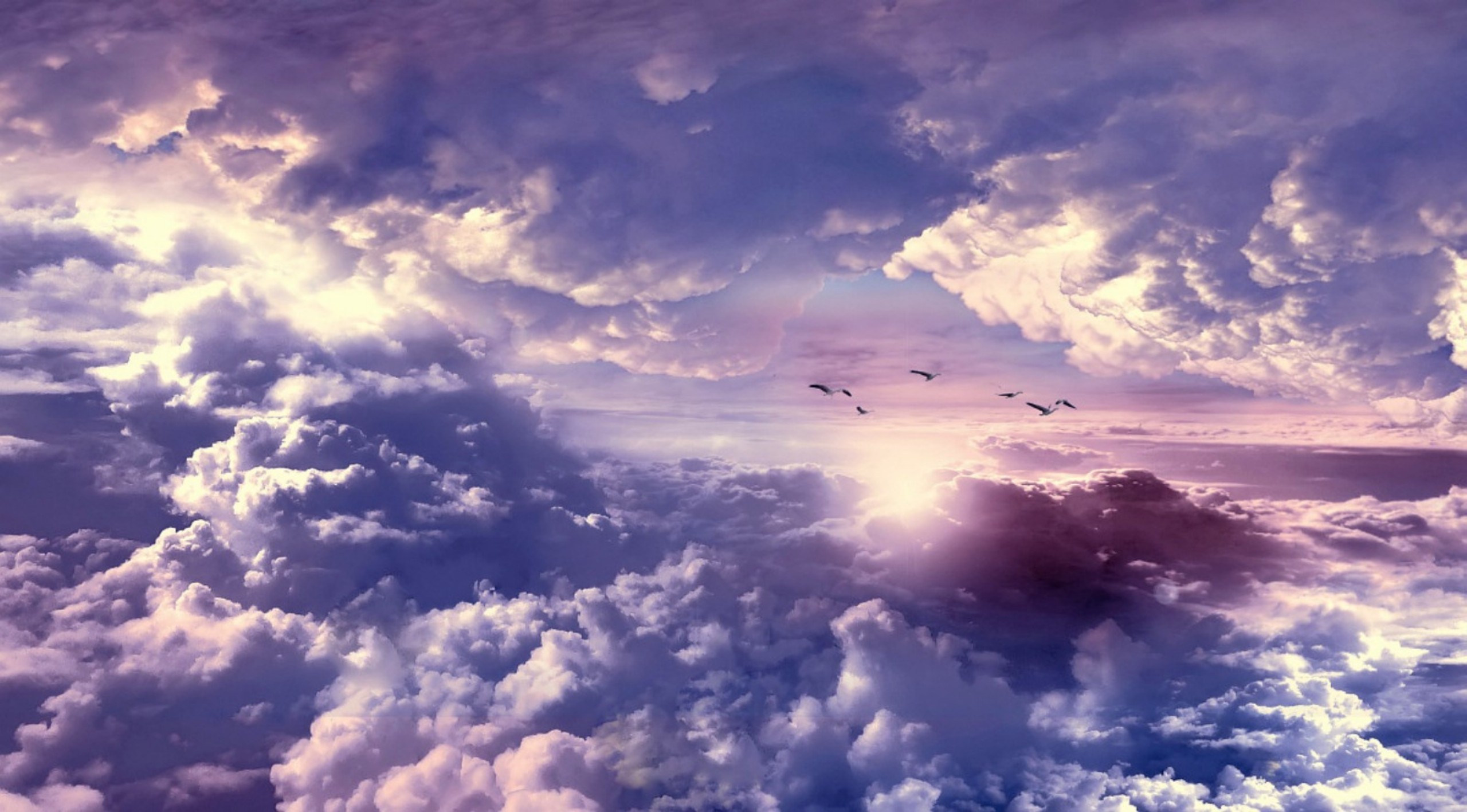 Download Flying Bird Cloud Nature Sky HD Wallpaper