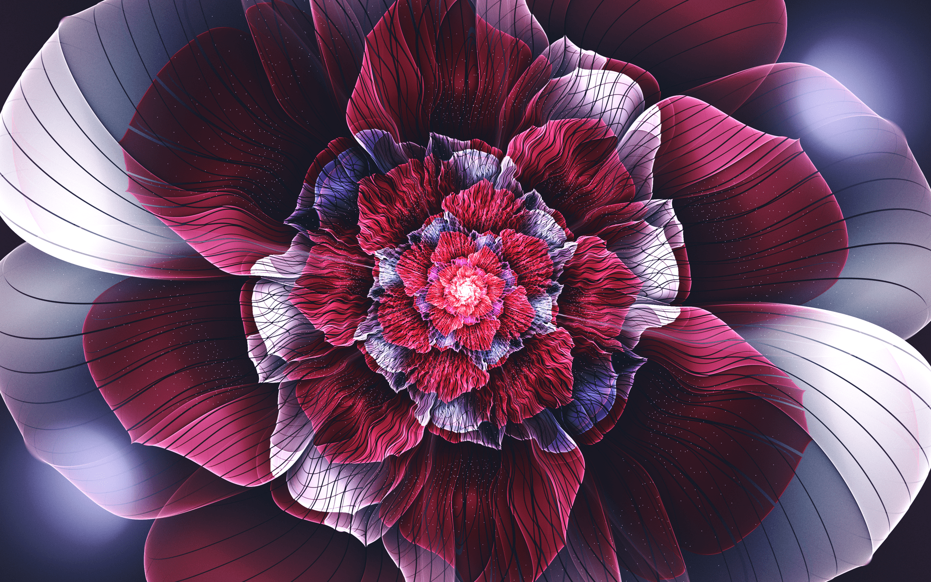 Download Purple Pink Artistic Flower HD Wallpaper