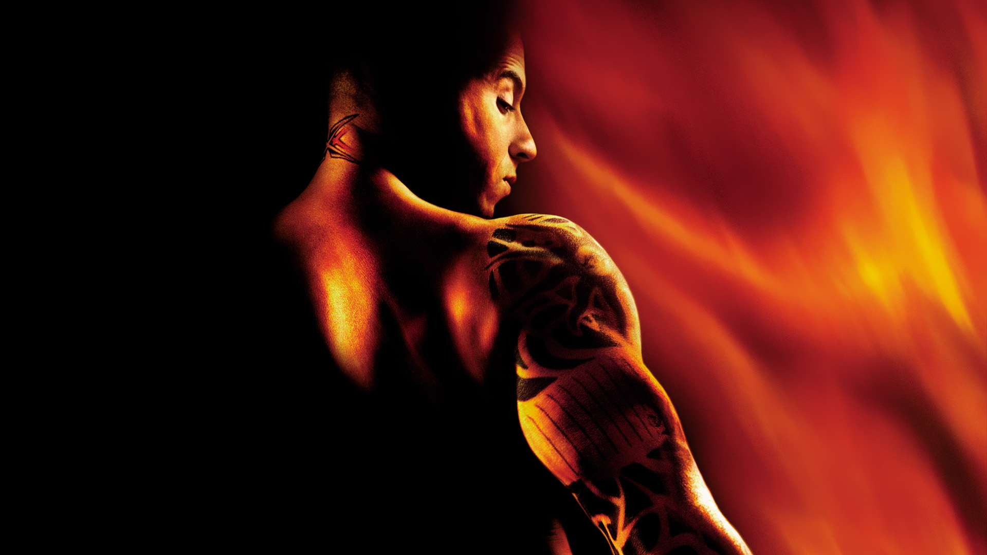 Vin Diesel xXx HD Wallpaper: Intense and Iconic