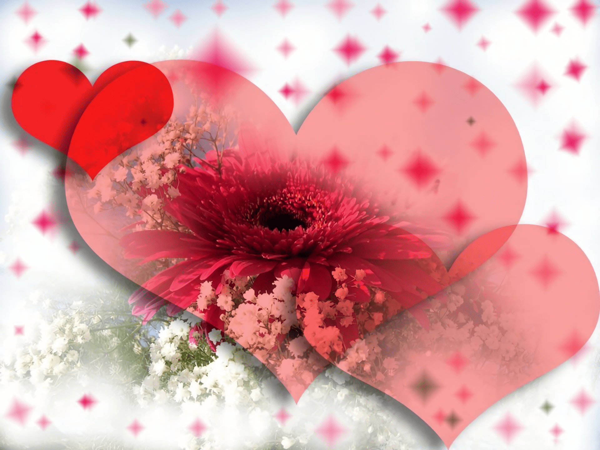 Pink Heart Floral HD Wallpaper Love in Bloom