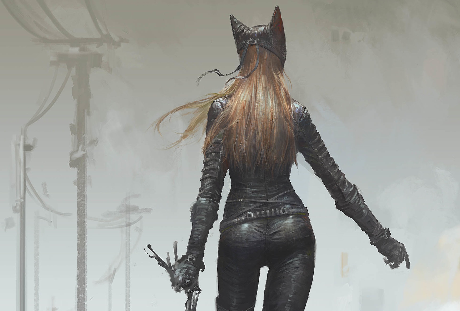 Catwoman HD Wallpaper Background Image 1920x1300 ID722626