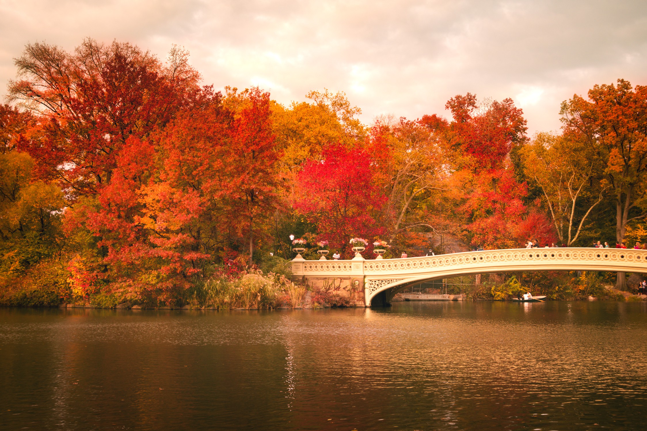 Central Park Fall in 4K Ultra HD Wallpaper