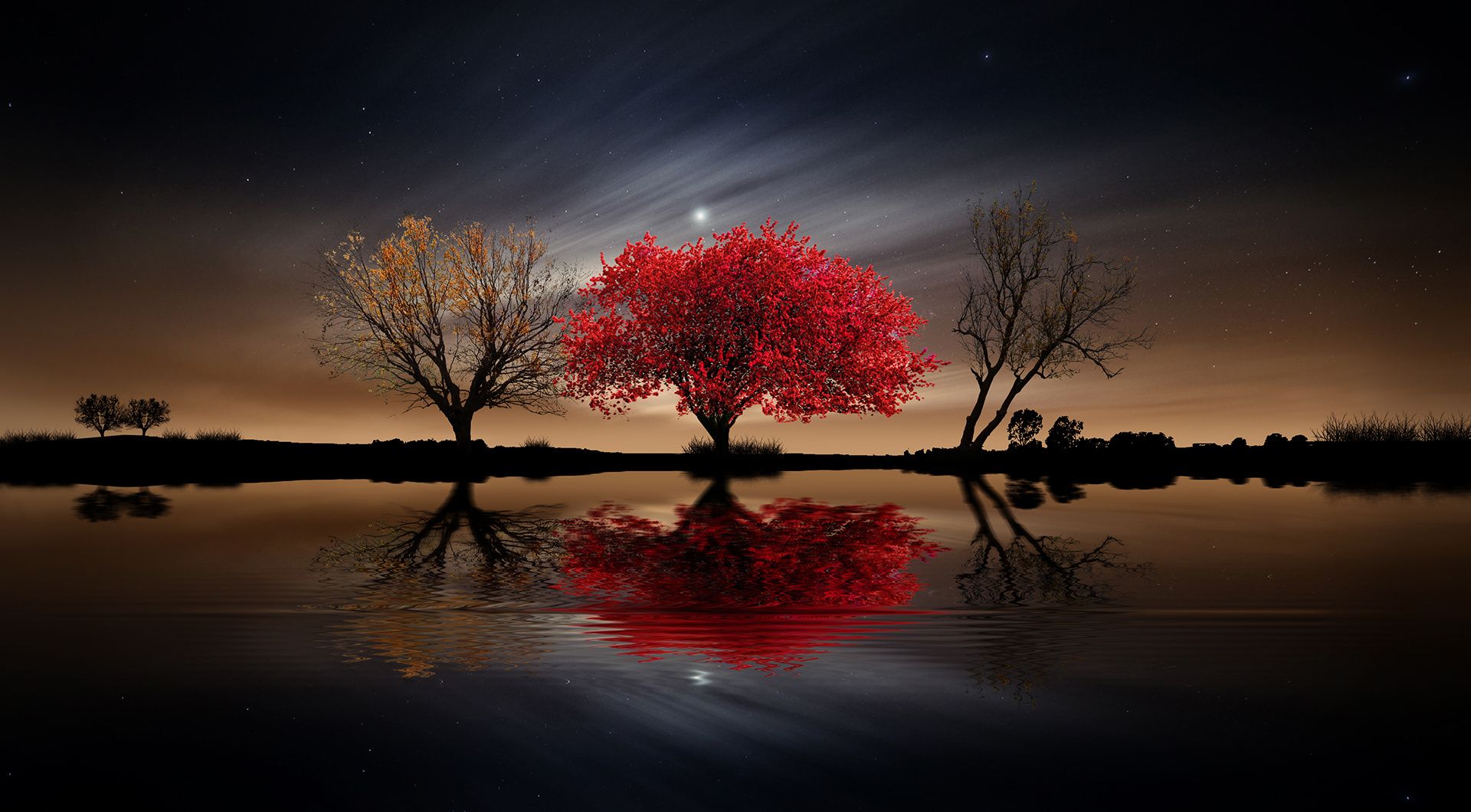 Download Reflection Moon Night Red Nature Tree Wallpaper by Nasser Osman