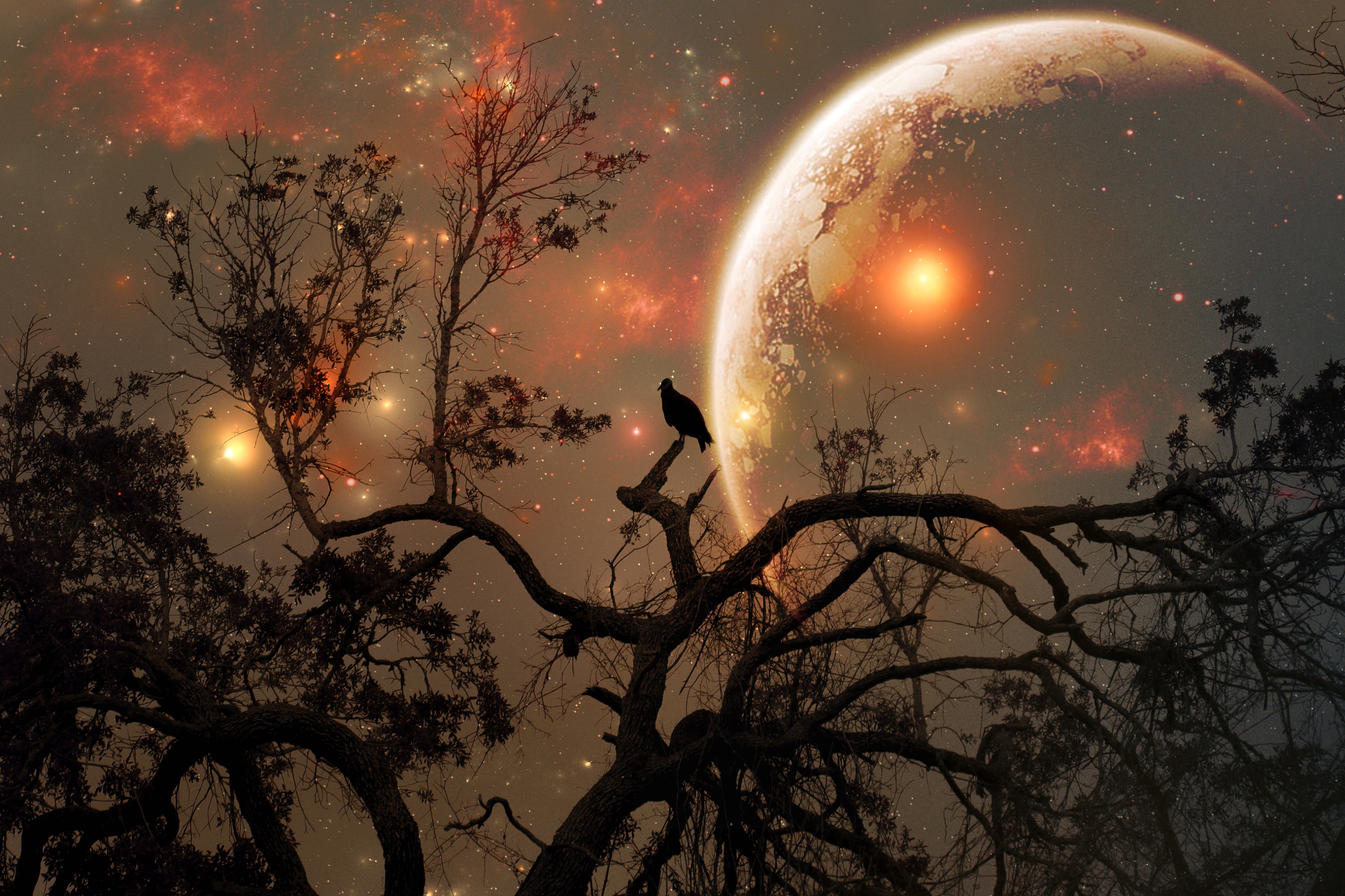 Fantasy Night Sky HD Wallpaper Background Image 3200x2133 ID