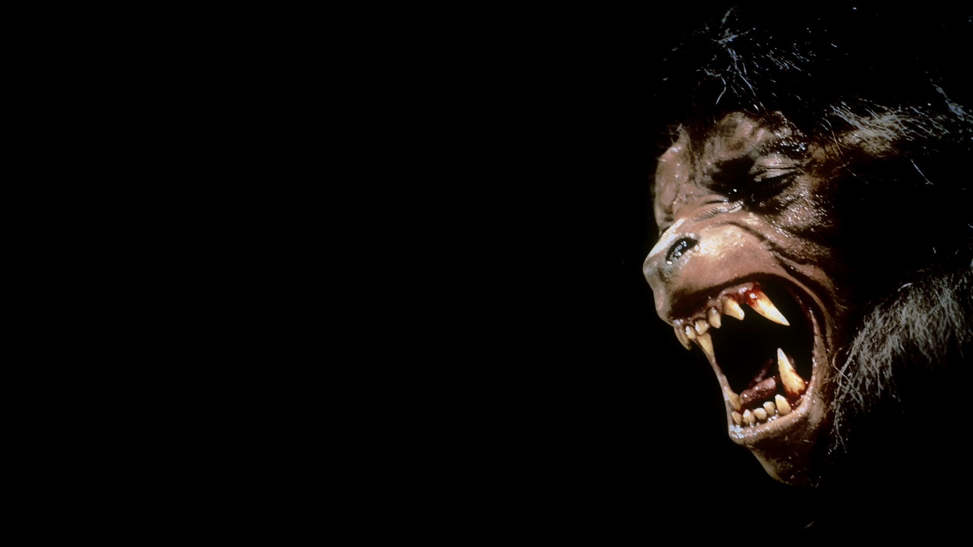 An American Werewolf In London (1981) HD Wallpaper Background Image