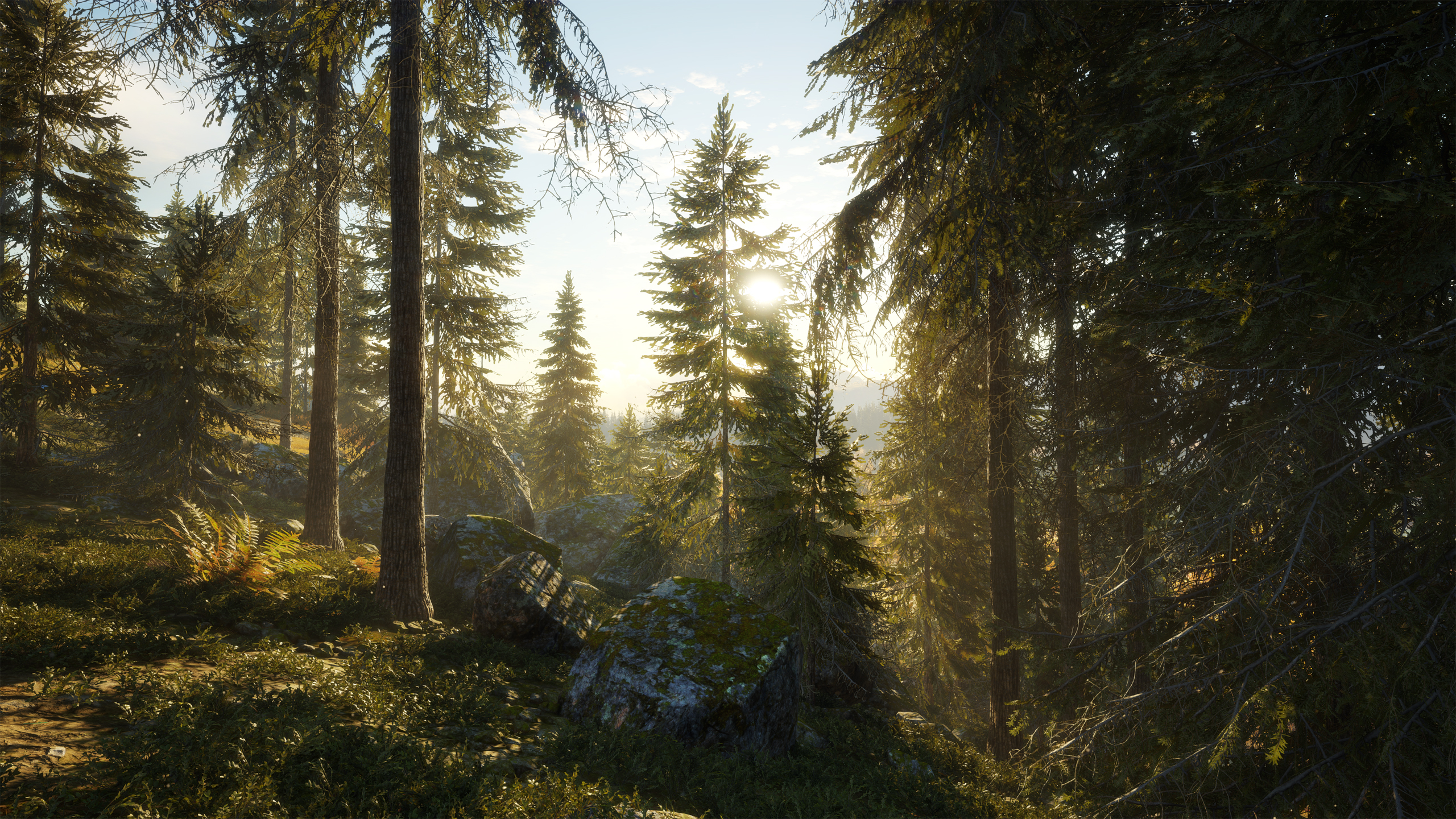 TheHunter Call Of The Wild HD Wallpaper Background Image 2560x1440