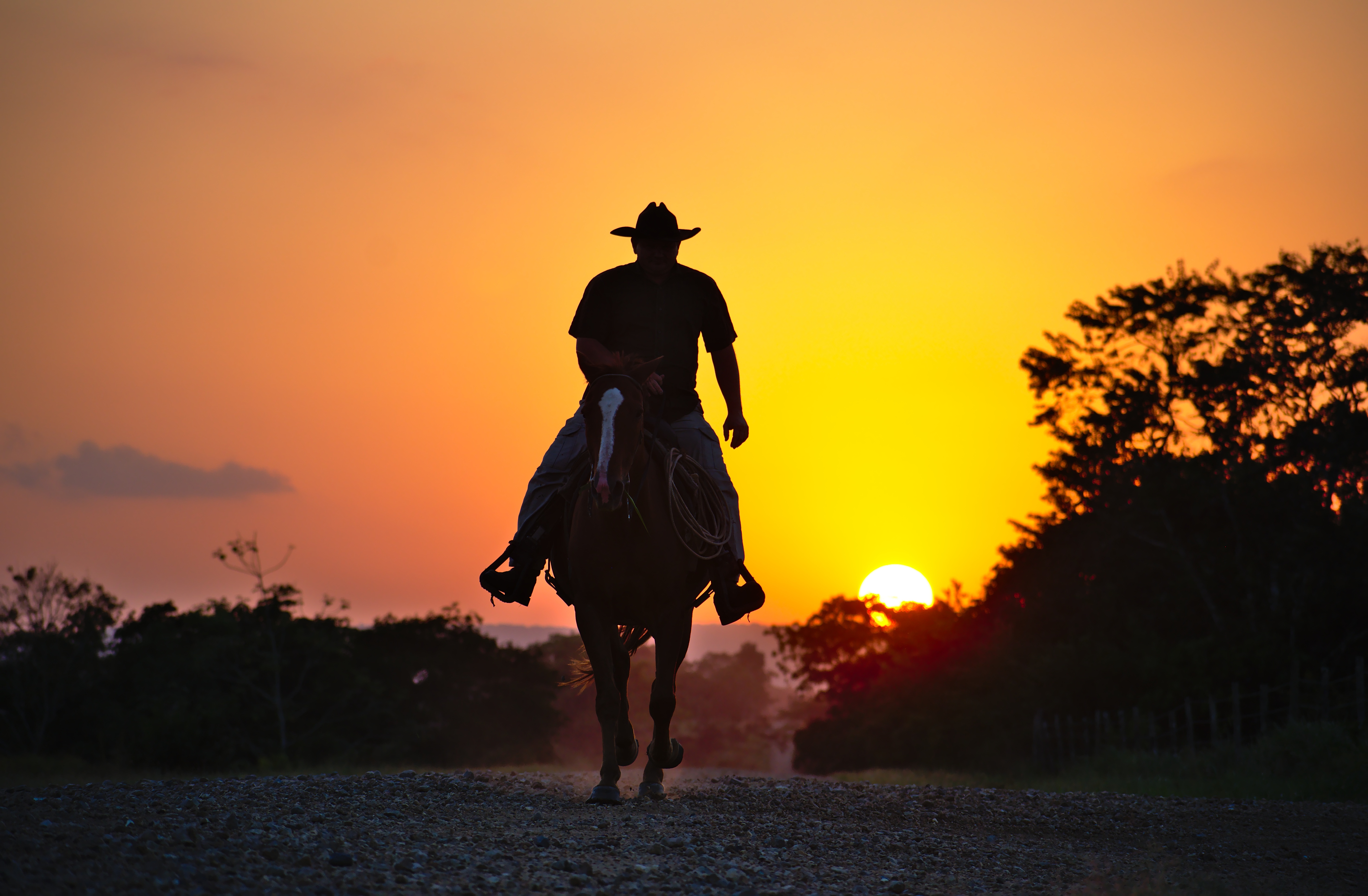 4K Ultra HD Cowboy Sunset Silhouette by Ronald Plett